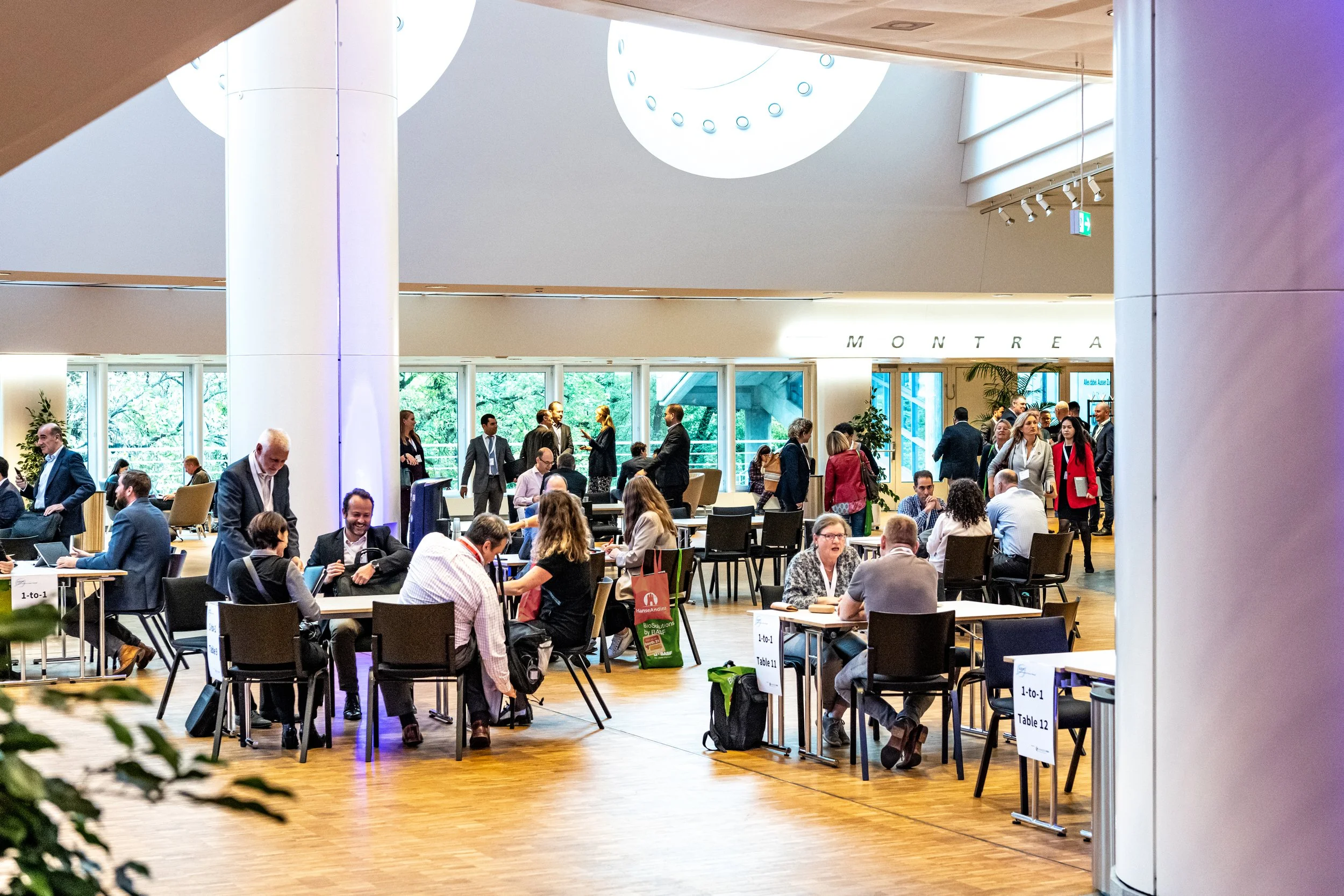 _DSC1804 retuschiert.jpg