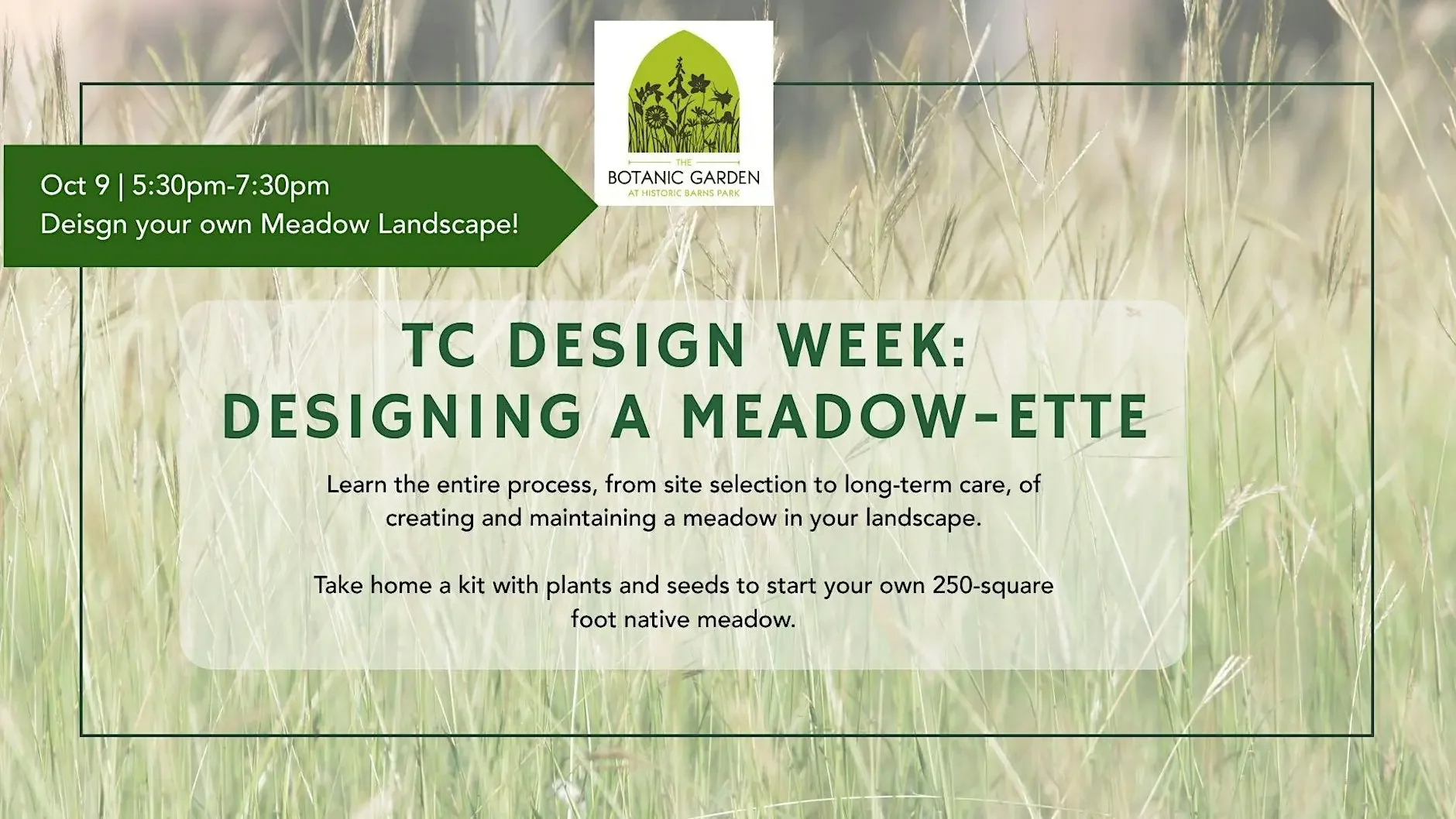 Designing a Meadow-ette: Create Your Own Native Garden