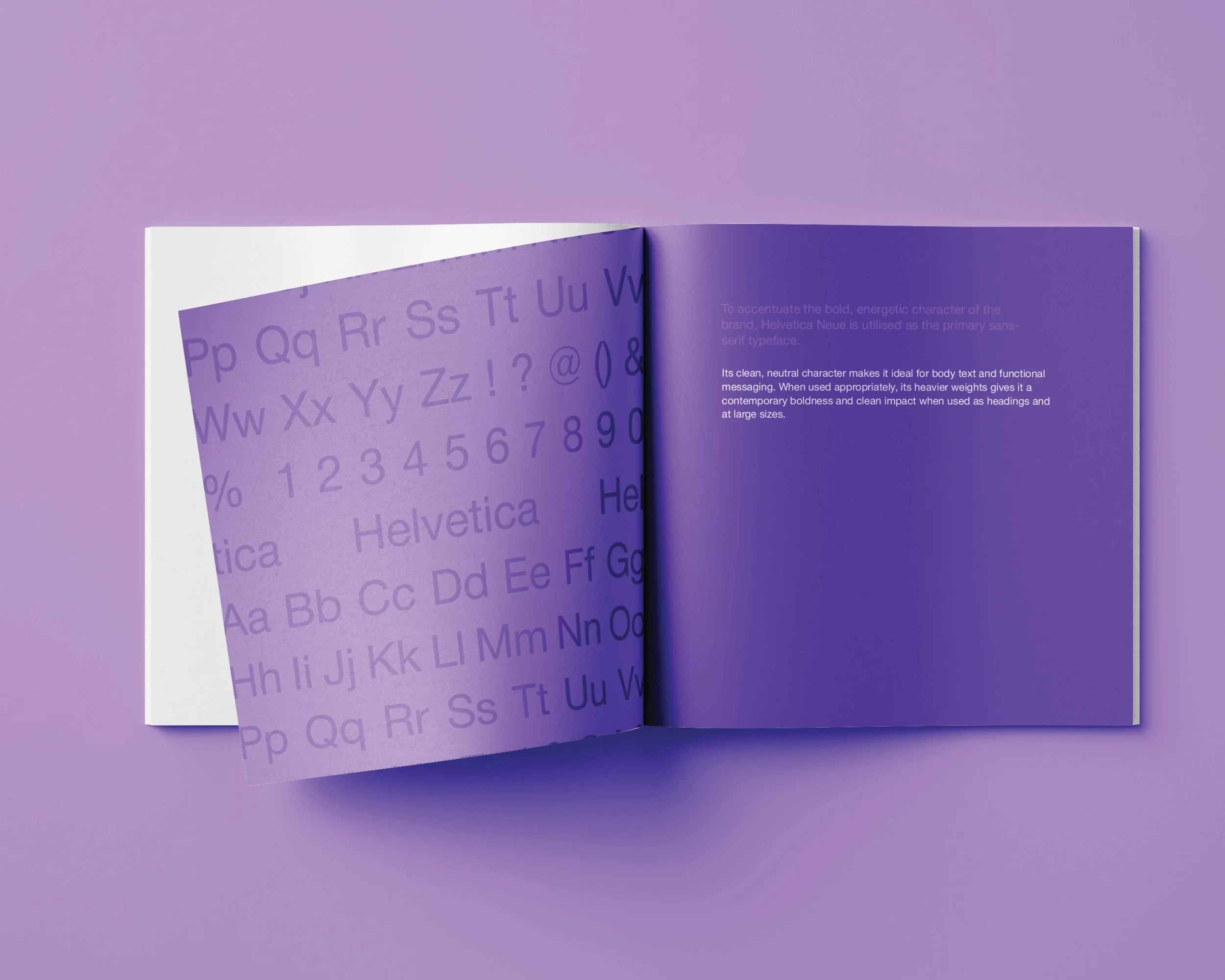 Skippers Hill_Rebrand_Portfolio_5.jpg