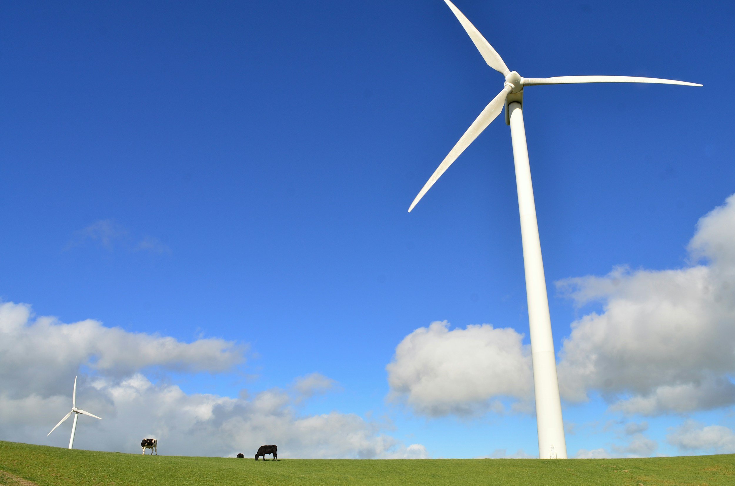 UK Renewables Roundup 2025: Growth, Grid Reform &amp; What Comes Next