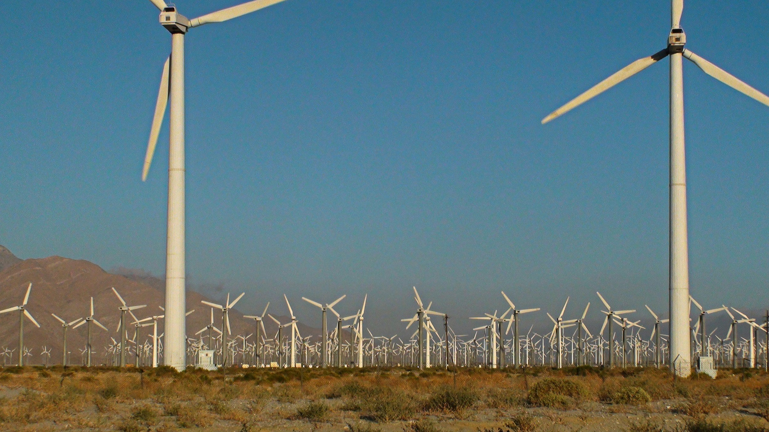 US Renewables Roundup 2025: Opportunity, Obstruction &amp; What the Market Demands Next