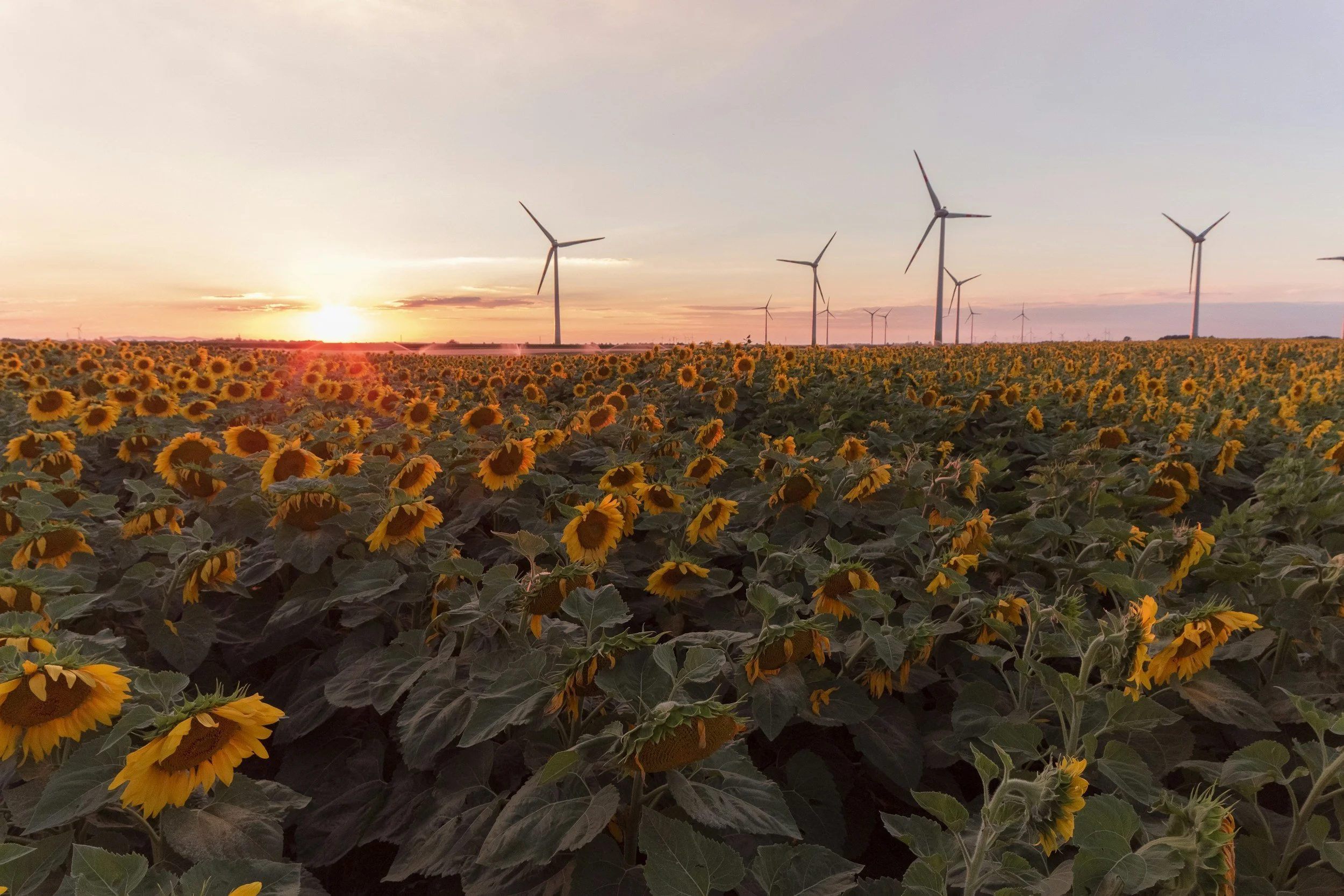 The UK CleanTech Landscape: From 2025 into 2026