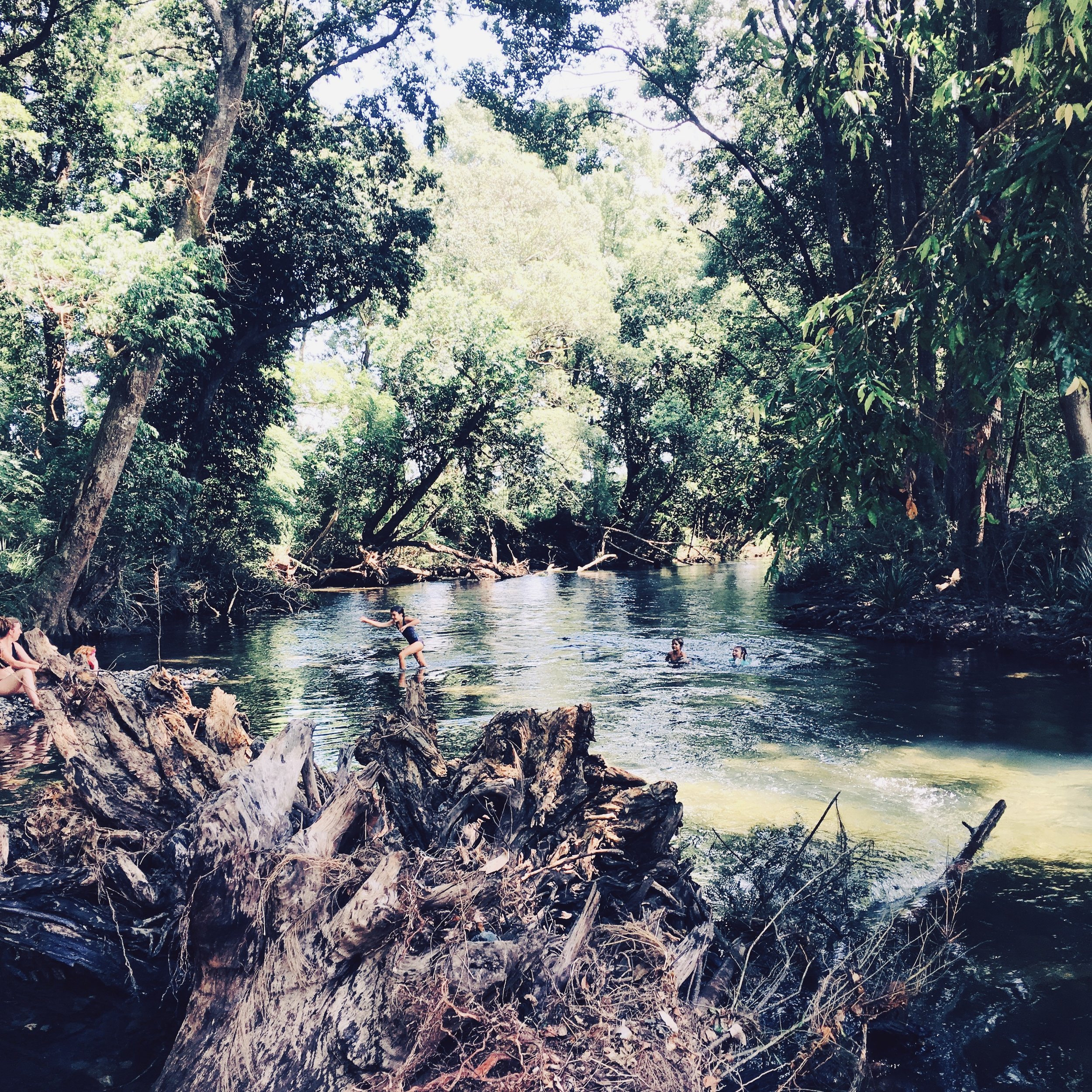 Never Never (Ngaaru) - Community Choir Learning Pack