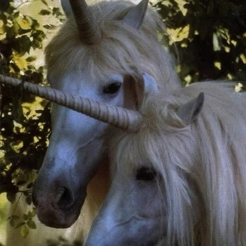 #nationalunicornday btw