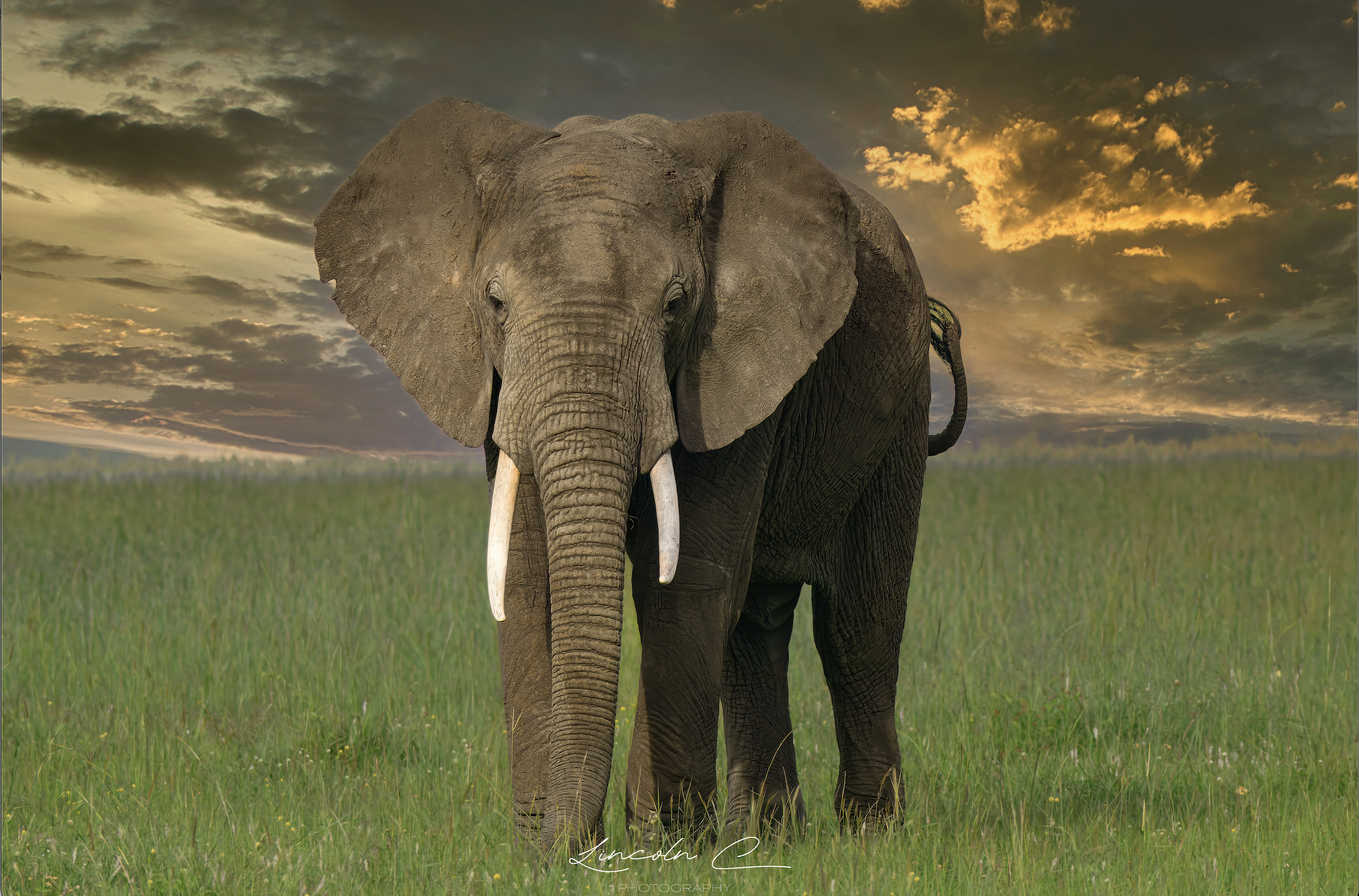 Screenshot 2026-01-07 at 12.42.46 PM.png