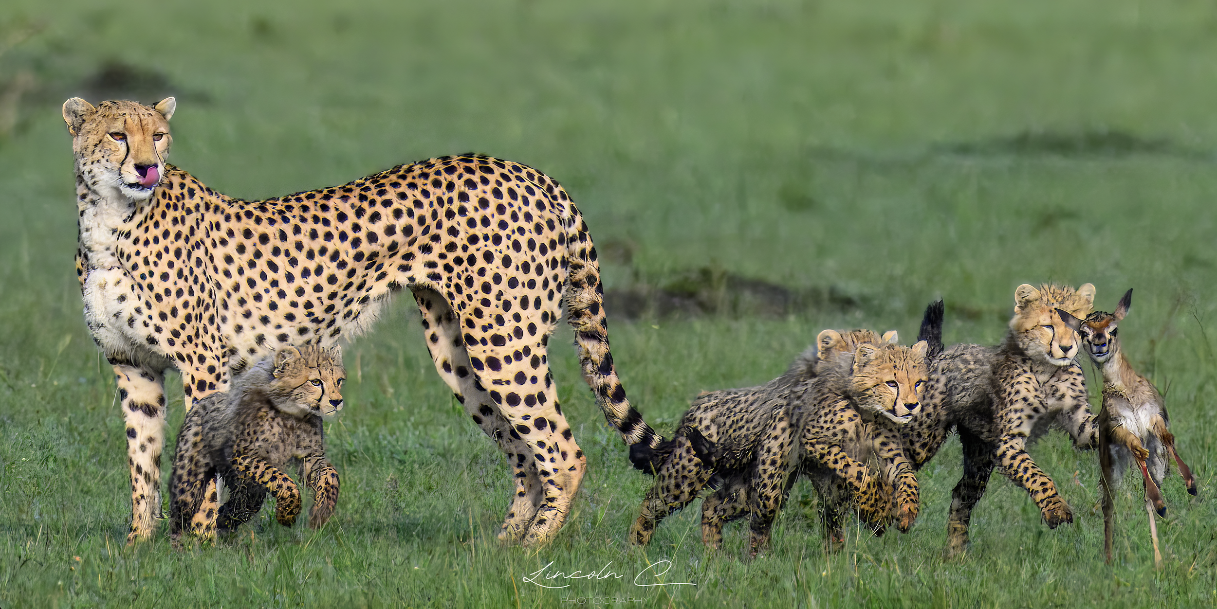 Screenshot 2026-01-07 at 12.19.28 PM.png