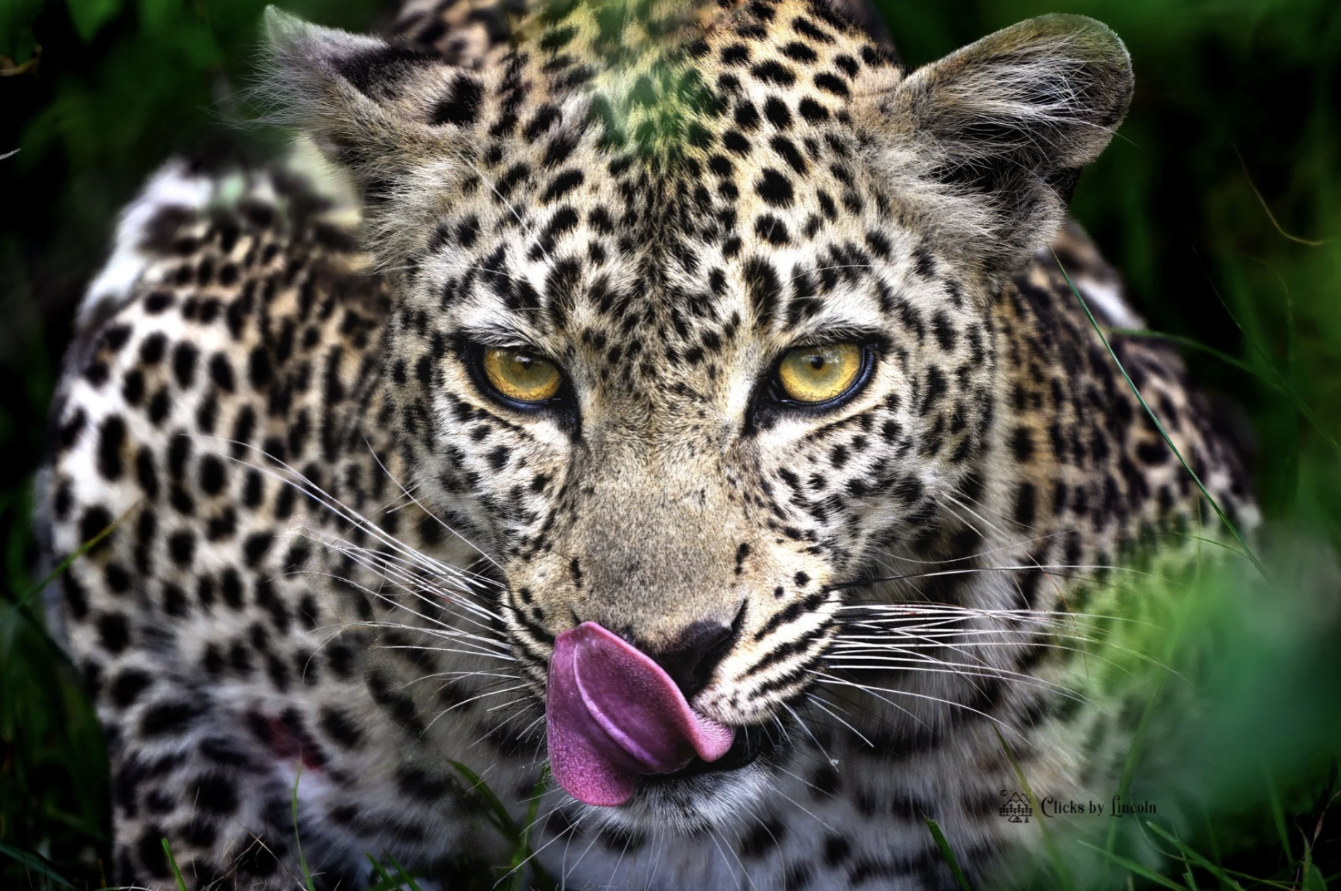 Screenshot 2026-01-07 at 1.38.17 PM.png