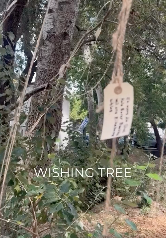 Wishing Tree.png