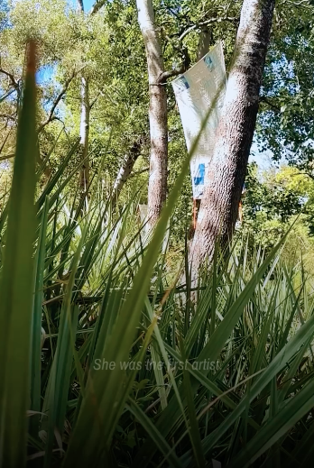 MotherNature.png