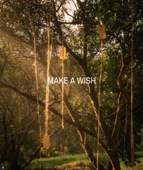 Wish.png