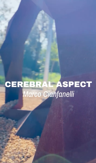 CerebralAspect_MarcoC.png
