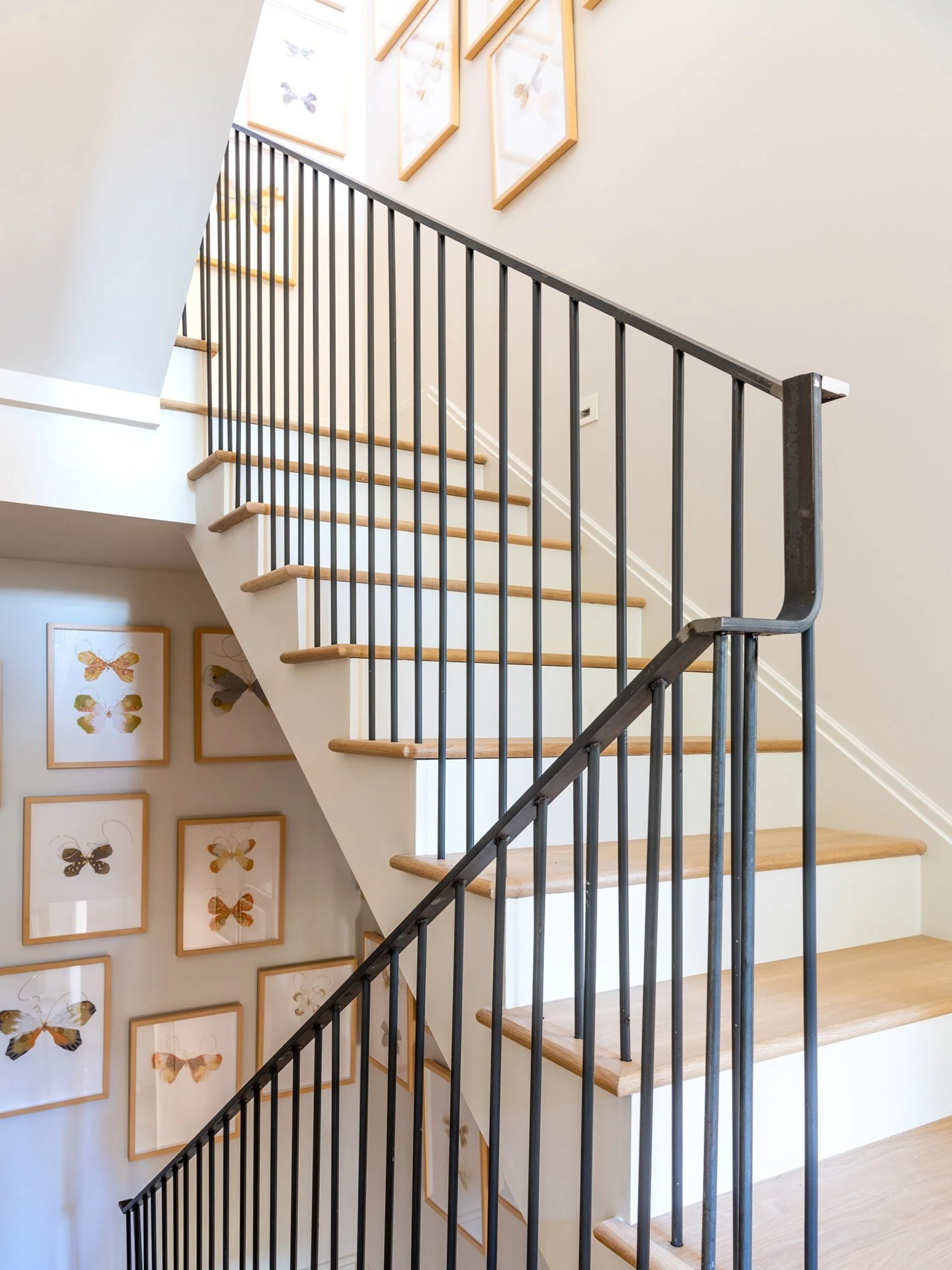 Interior of a staircase with wooden steps and black metal railing, with framed butterfly illustrations on the wall.