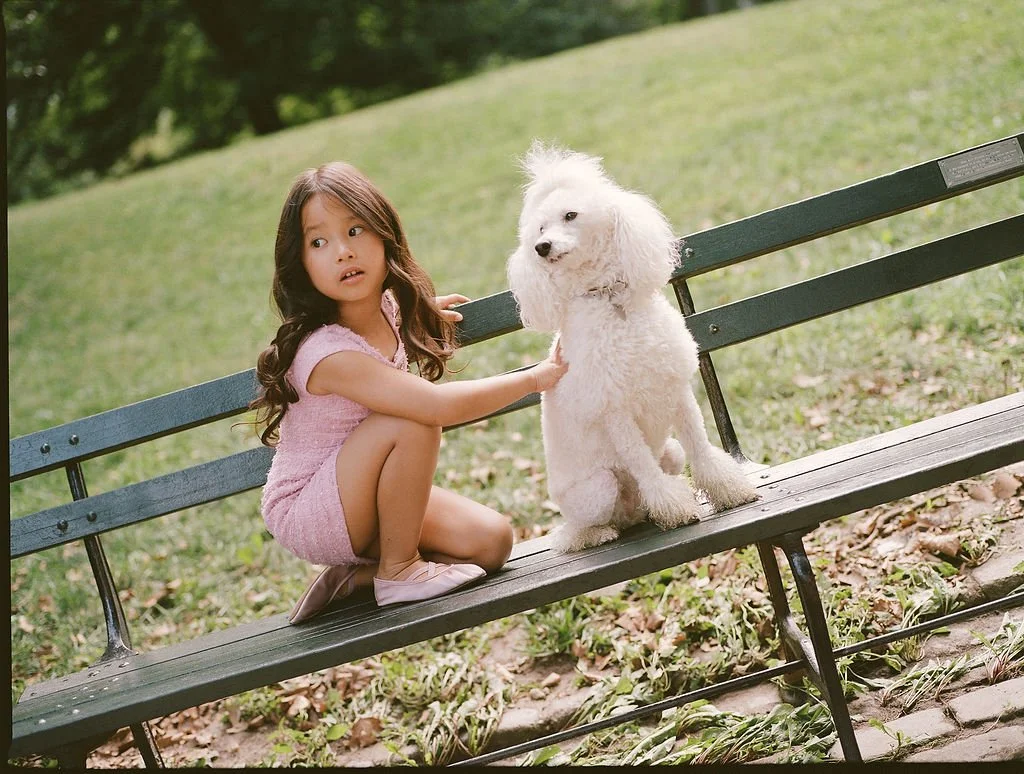 A young girl with long dark hair, wearing a pink dress, sitting on a park bench and gently touching a white poodle that is standing on the bench beside her. The background is a grassy park with trees.