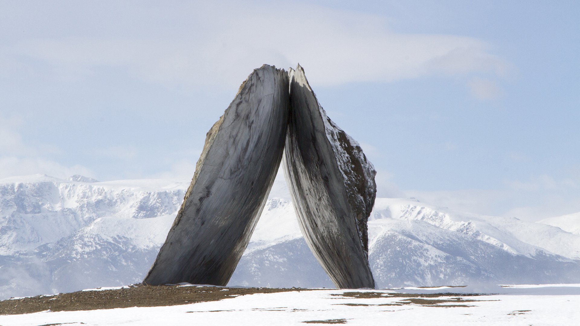 ENSAMBLE STUDIO_STRUCTURES OF LANDSCAPE_INVERTED PORTAL_10_2.jpg