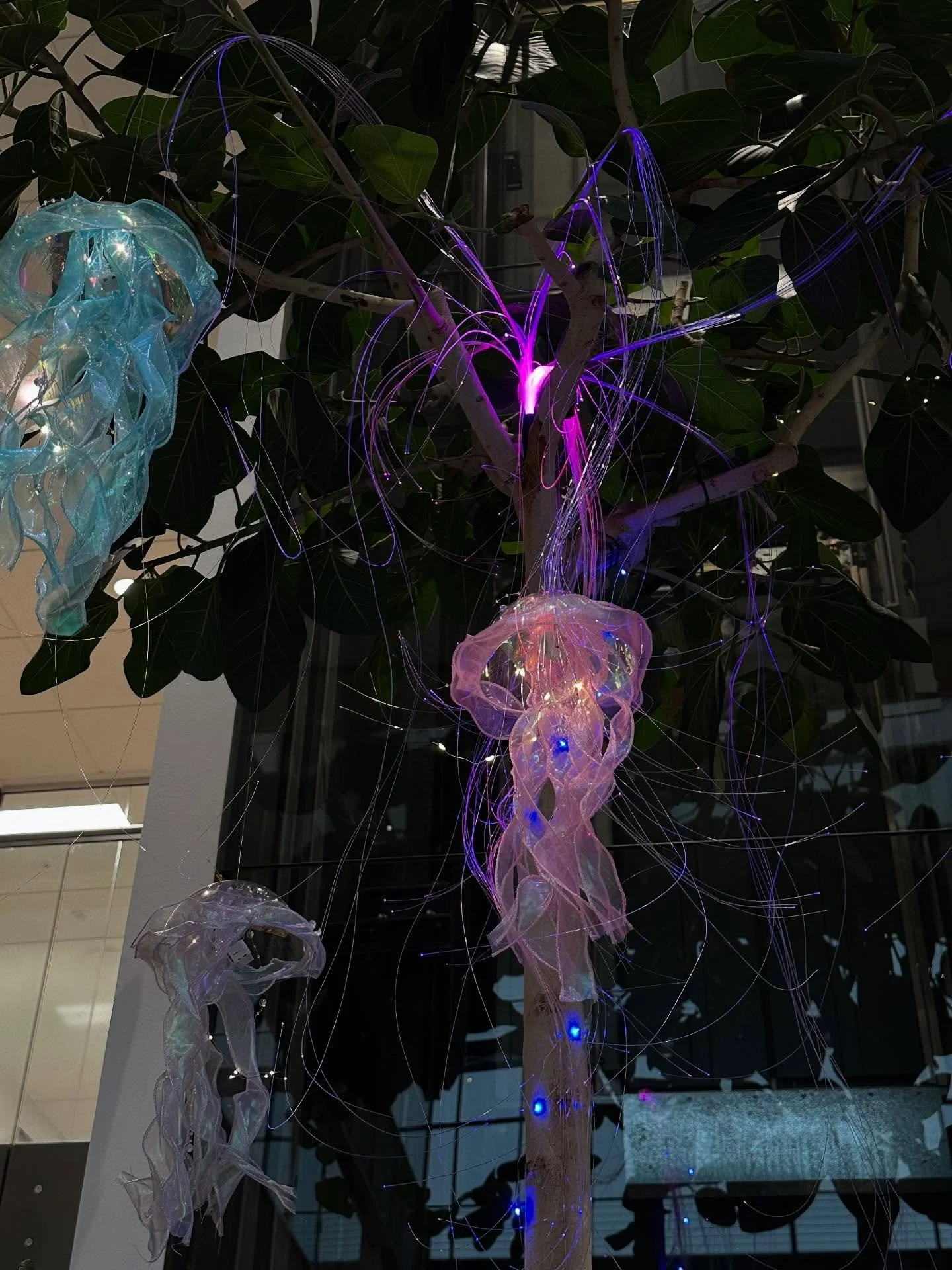 Avatar inspireret gople-tr&aelig;er🛸🌿🪼

Til space-party hos Grand Thornton, omdannede vi deres store indend&oslash;rs planter til mini avatar-skove med stringlights, neon blade, lysk&aelig;der og selvf&oslash;lgelig spacy gopler🪼🌌 

I samarbejde