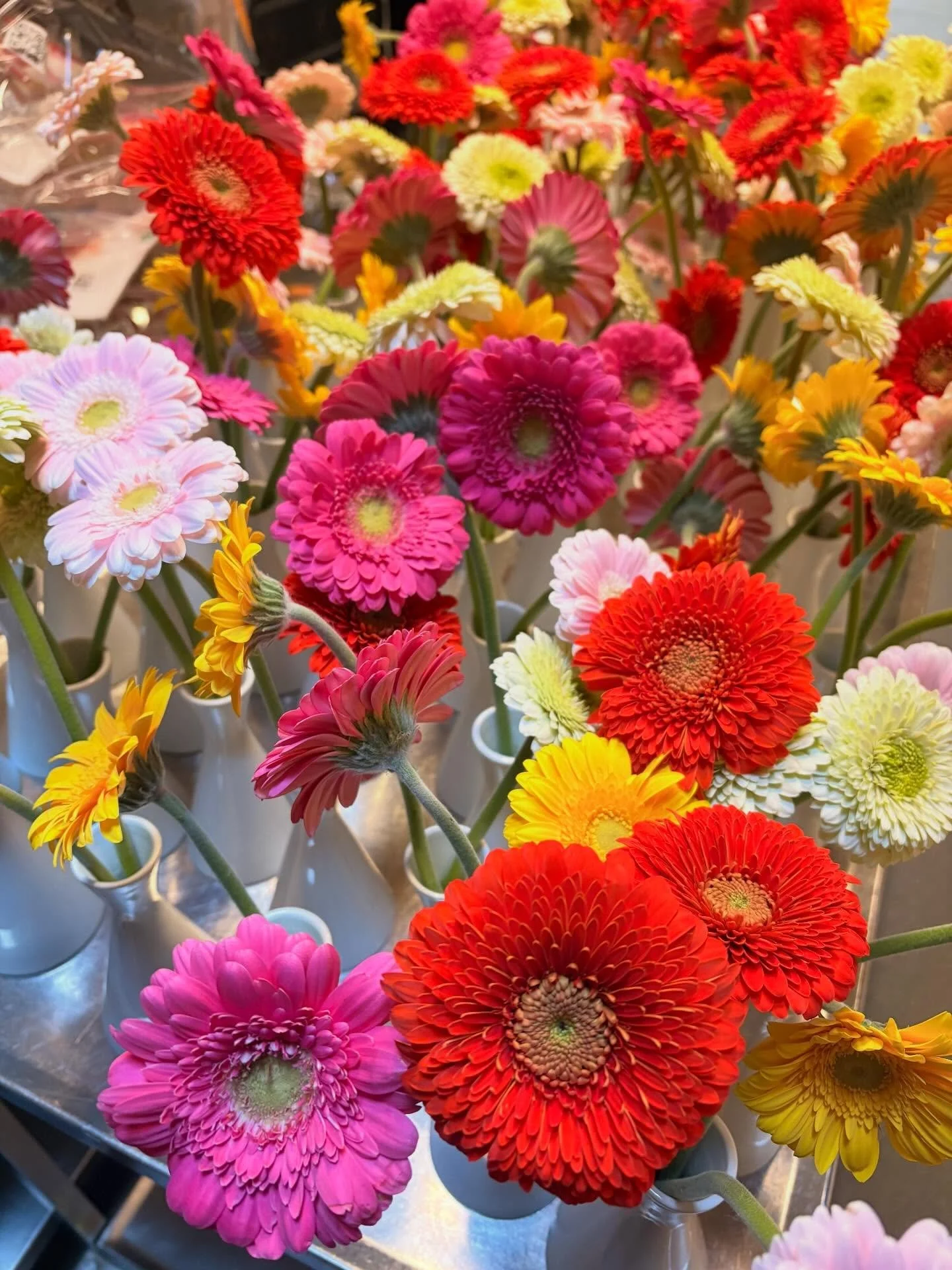 @mofibo Awards i Cirkusbygningen🎧📚

Tilbage i marts fyldte vi Cirkusbygningen&rsquo;s ikoniske lokaler med organiske ballondekorationer og gerbera blomster i Mofibo&rsquo;s sprudlende farver! 

Vi skabte et velkendt univers med former og farver, de