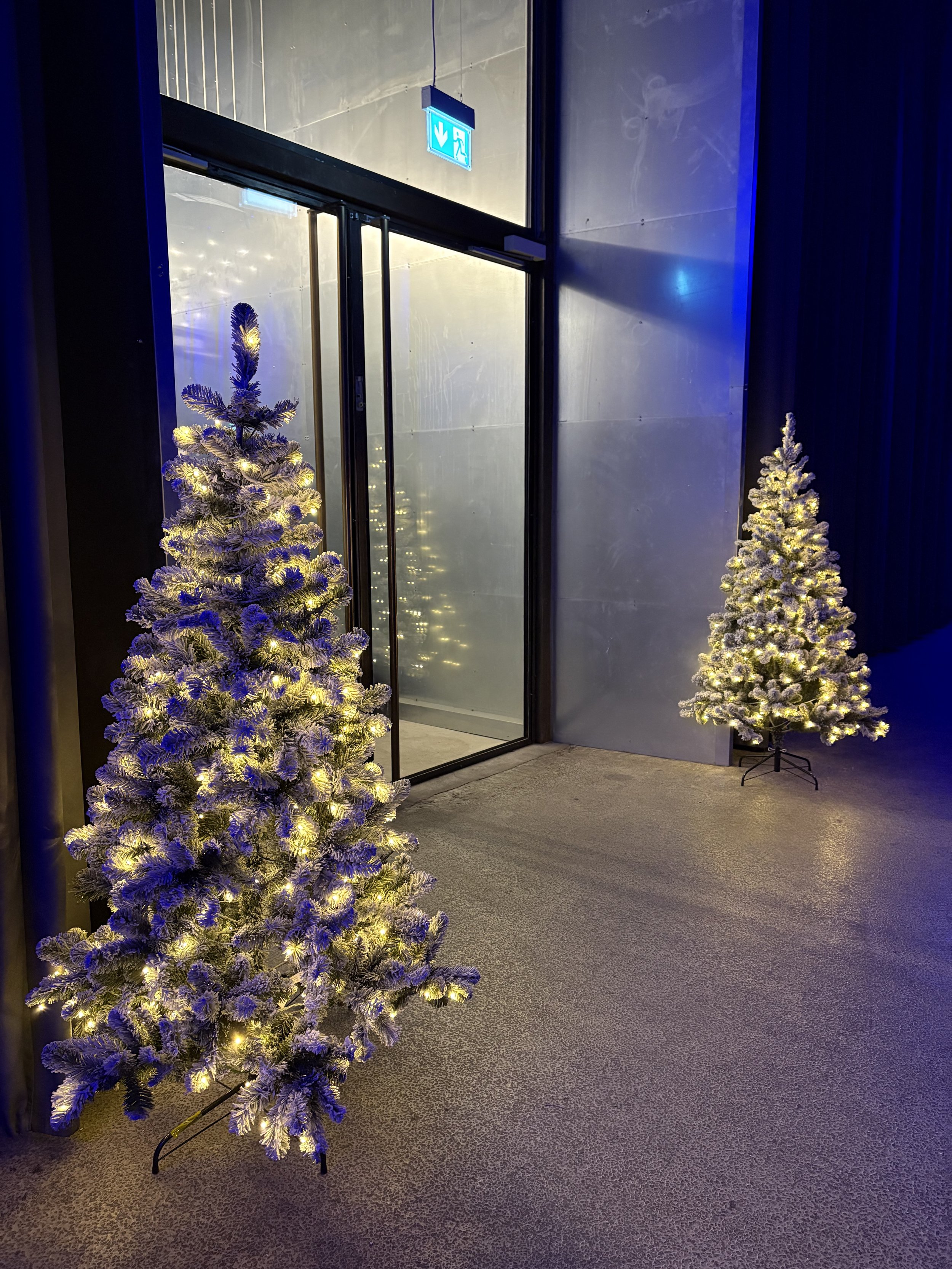 Store flotte juletræer med lys i Winter Wonderland tema på The plant 