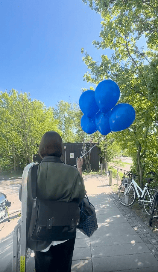 Pift-eventbureau-ballondekoration-FRinsurance.png