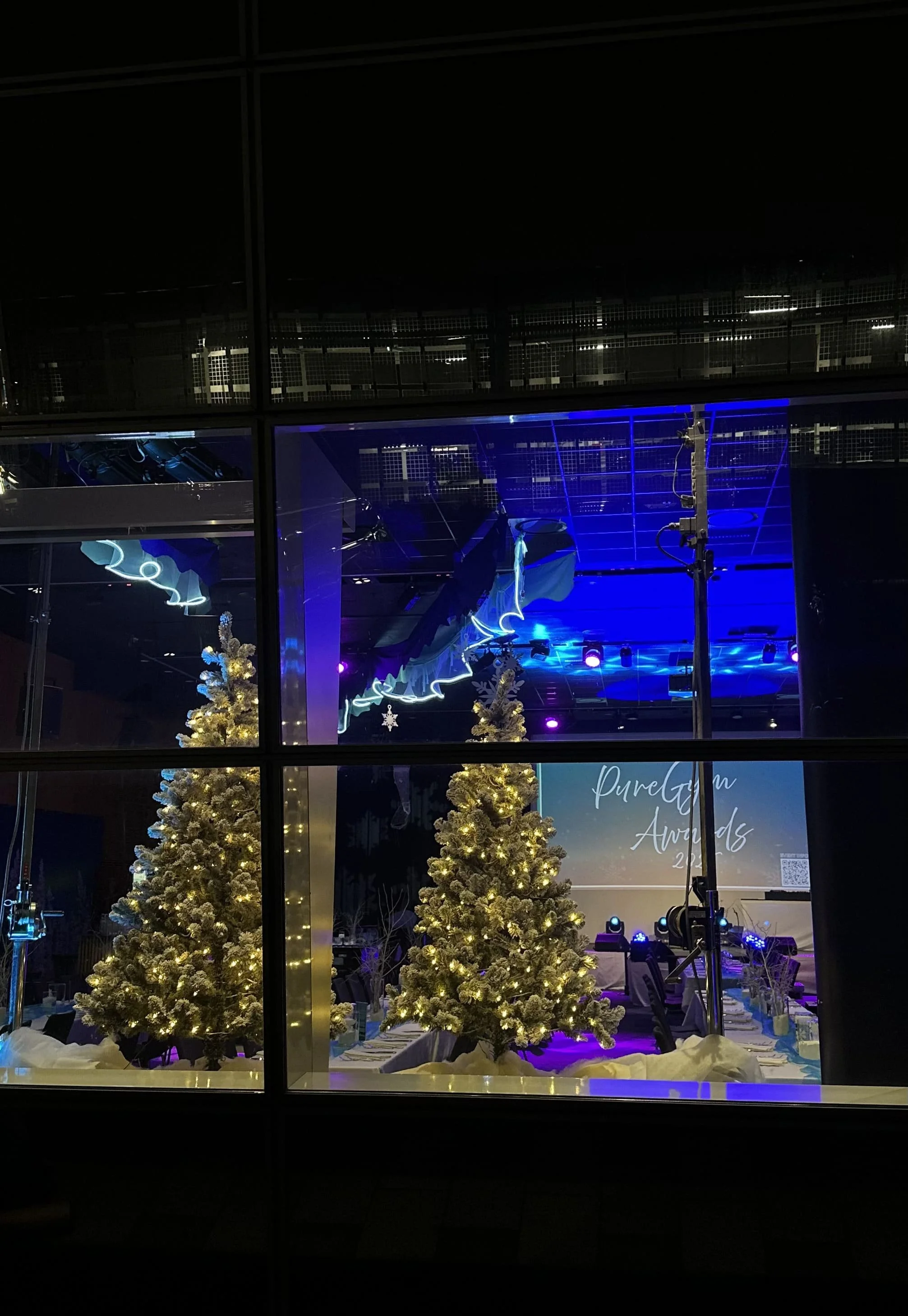 PureGym Awardshow med Winter Wonderland-tema i nordlys stil