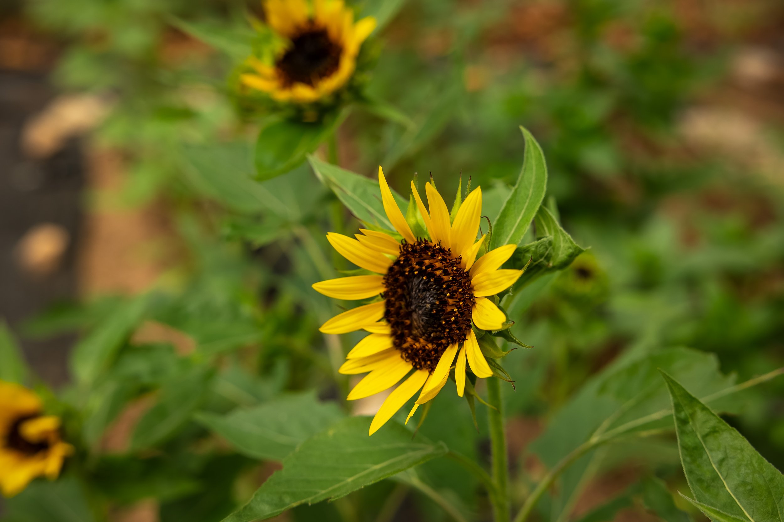 _6__5508-Edit.jpg