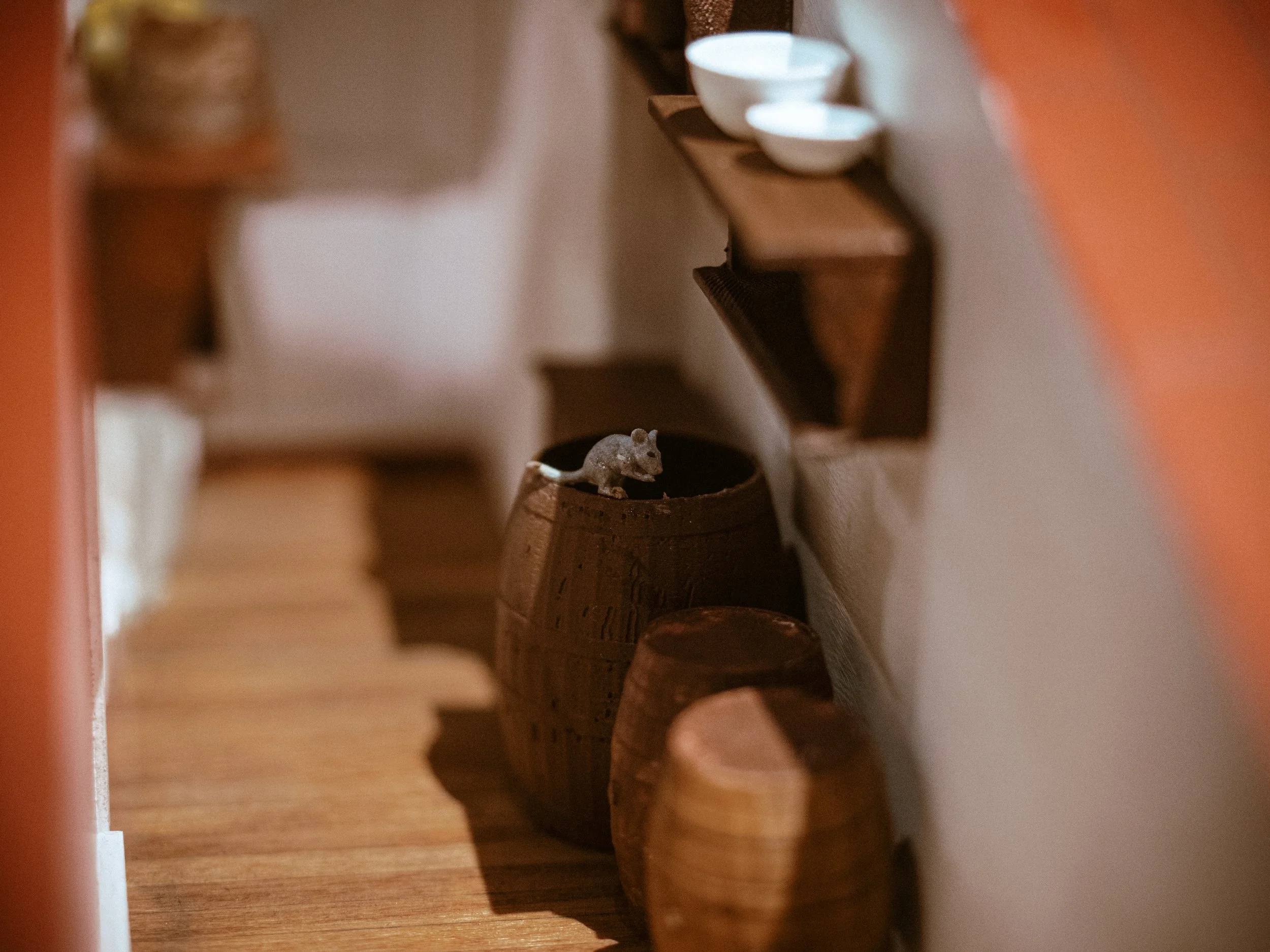 _1012181.jpg