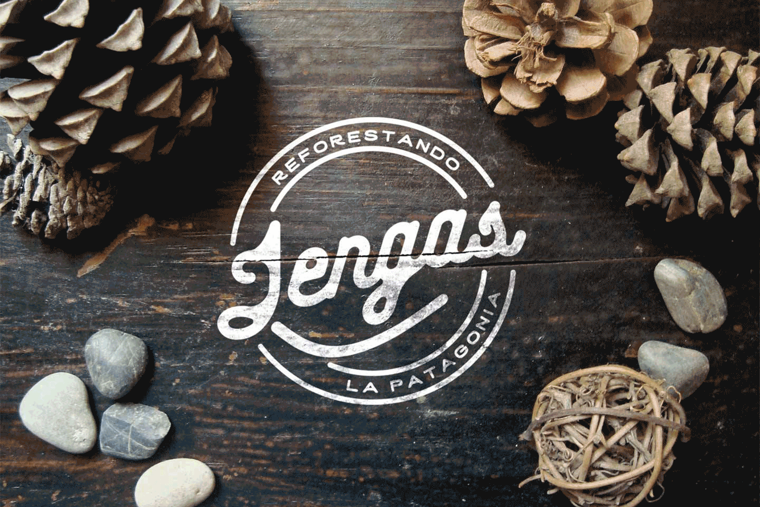 Woods-Brand-Identity.gif