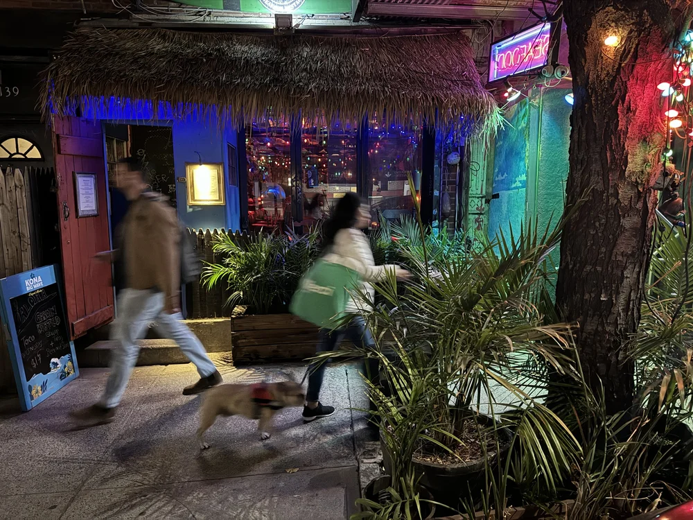 Surf Bar Brooklyn photo 4