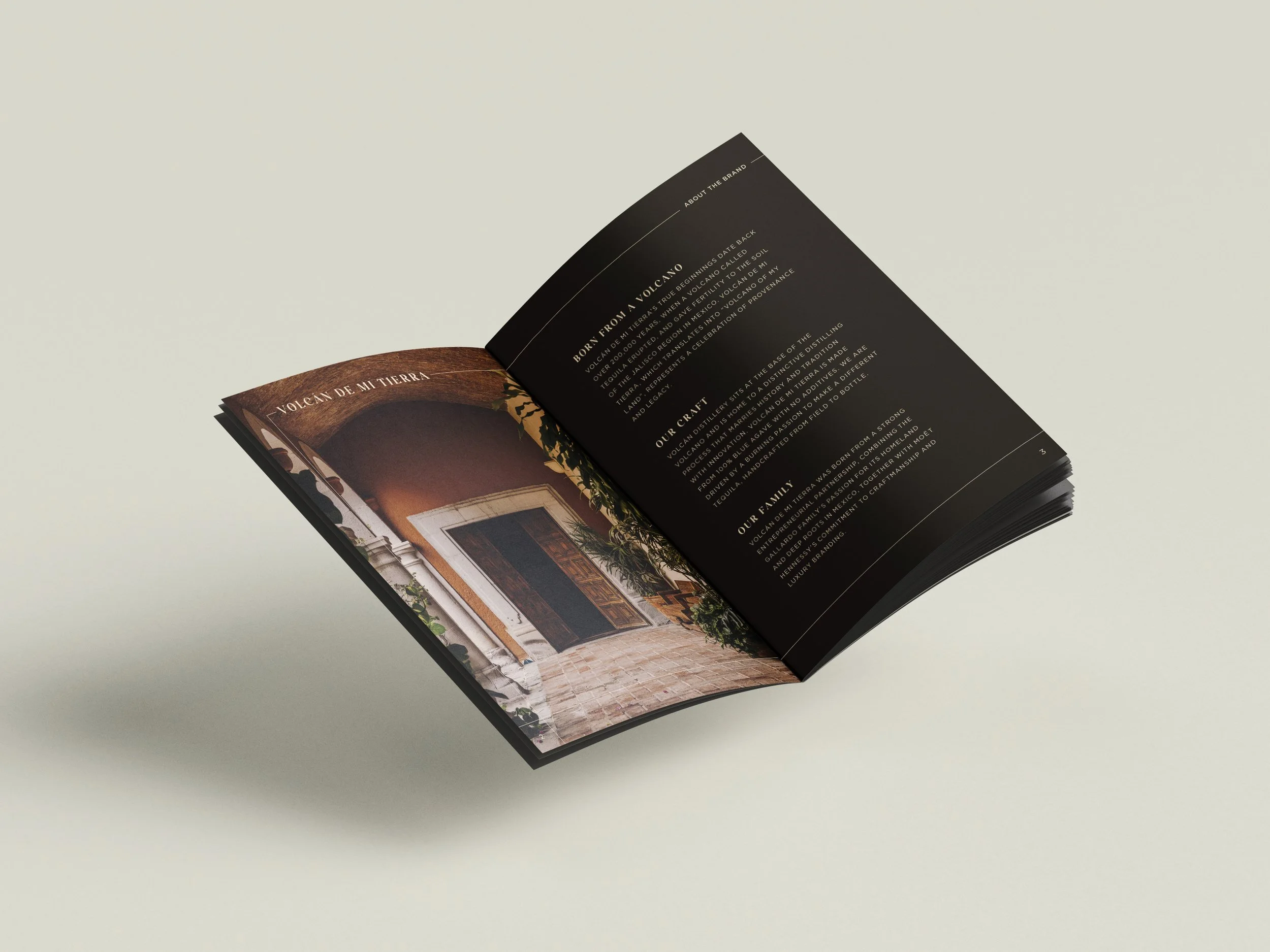 VolcanBooklet_Mock-up_Volcan.jpg