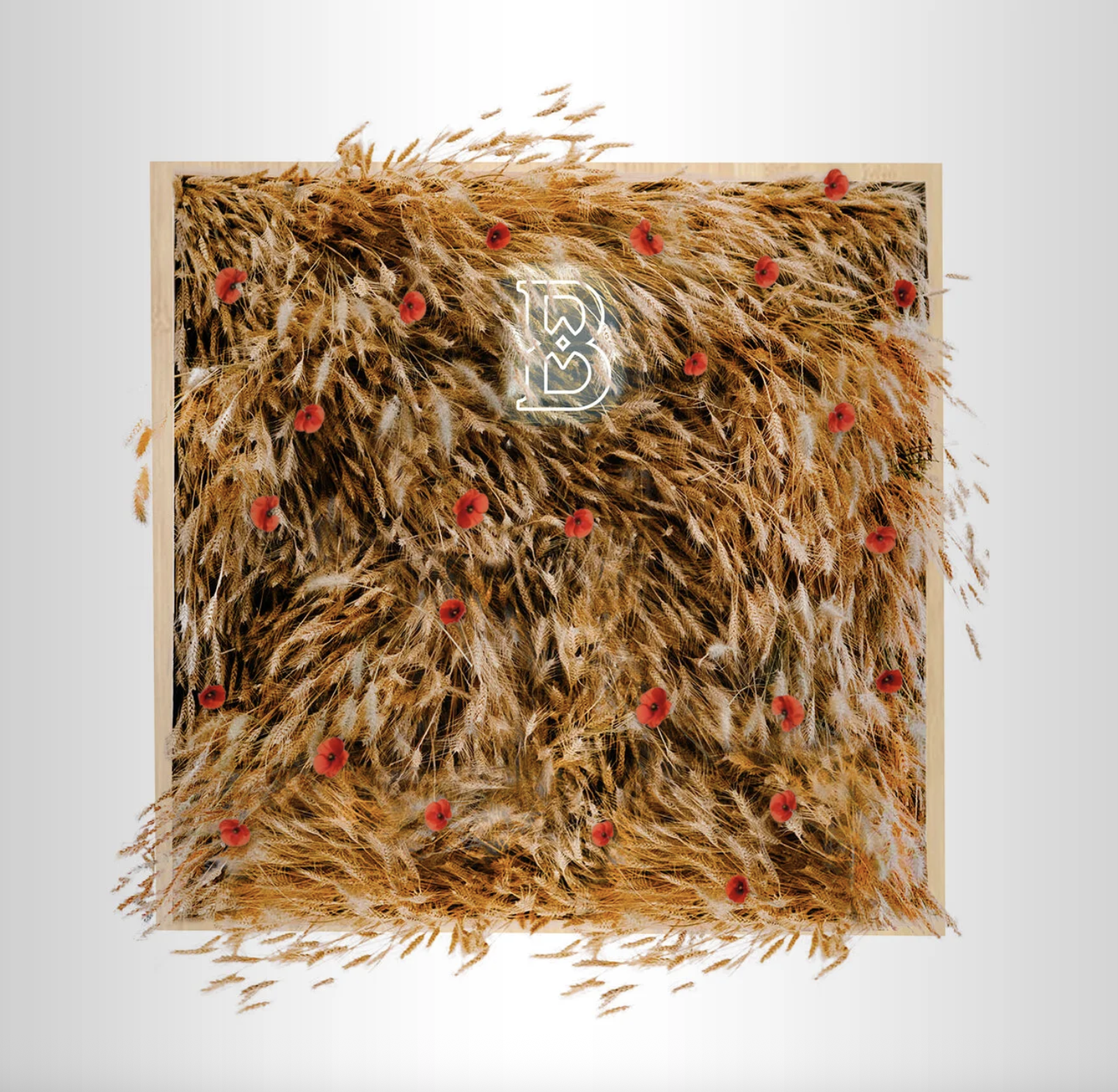 Belvedere Vodka Experiential & Displays