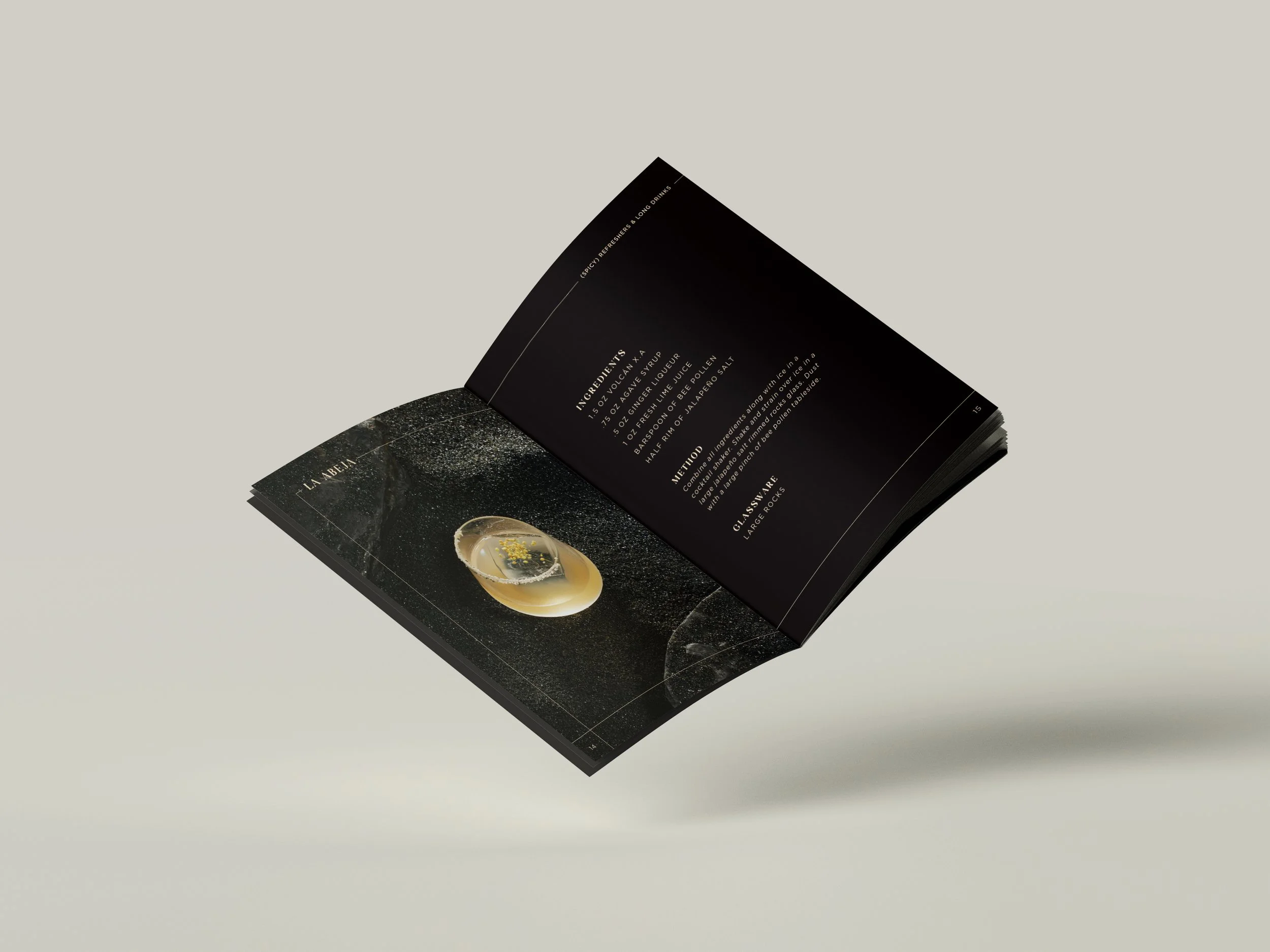 VolcanBooklet_Mock-up_La Abeja.jpg