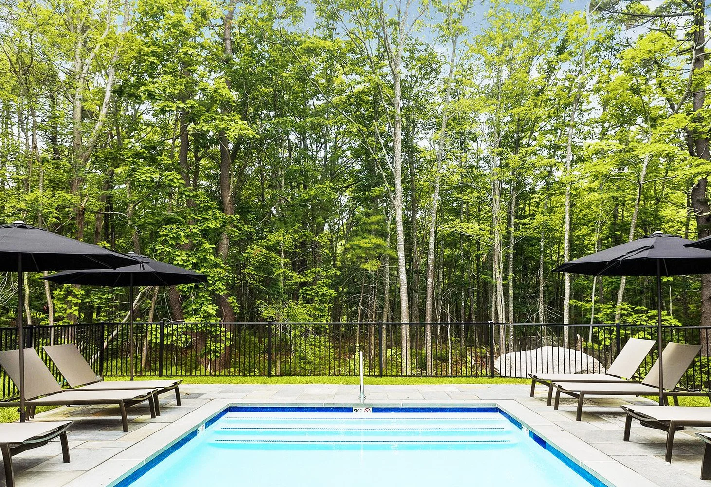 aa-Enhanced-SR copy.jpg