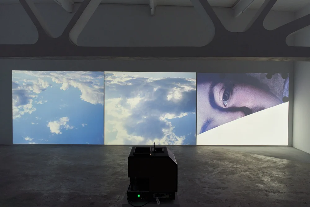 Matei Bejenaru - Kunsthalle Bega-Edgingtology (17).jpg