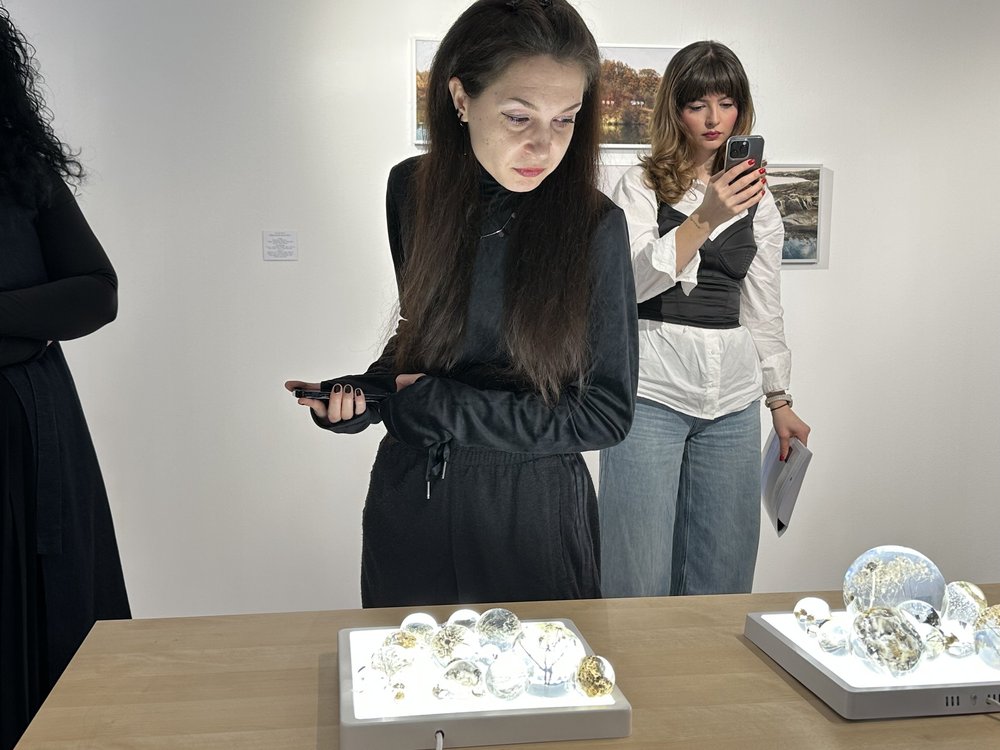 Meta Spatiu - overall  (2).jpeg