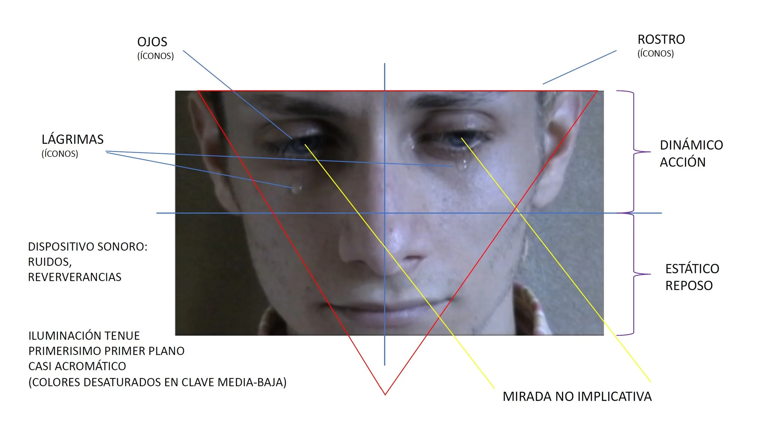 Tears are Precious - semiotics