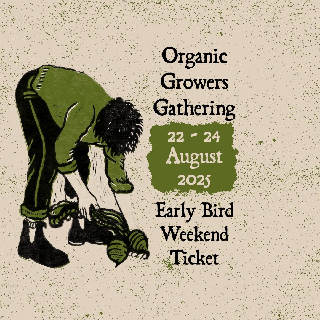 OGG 25 Early Bird Weekend Ticket