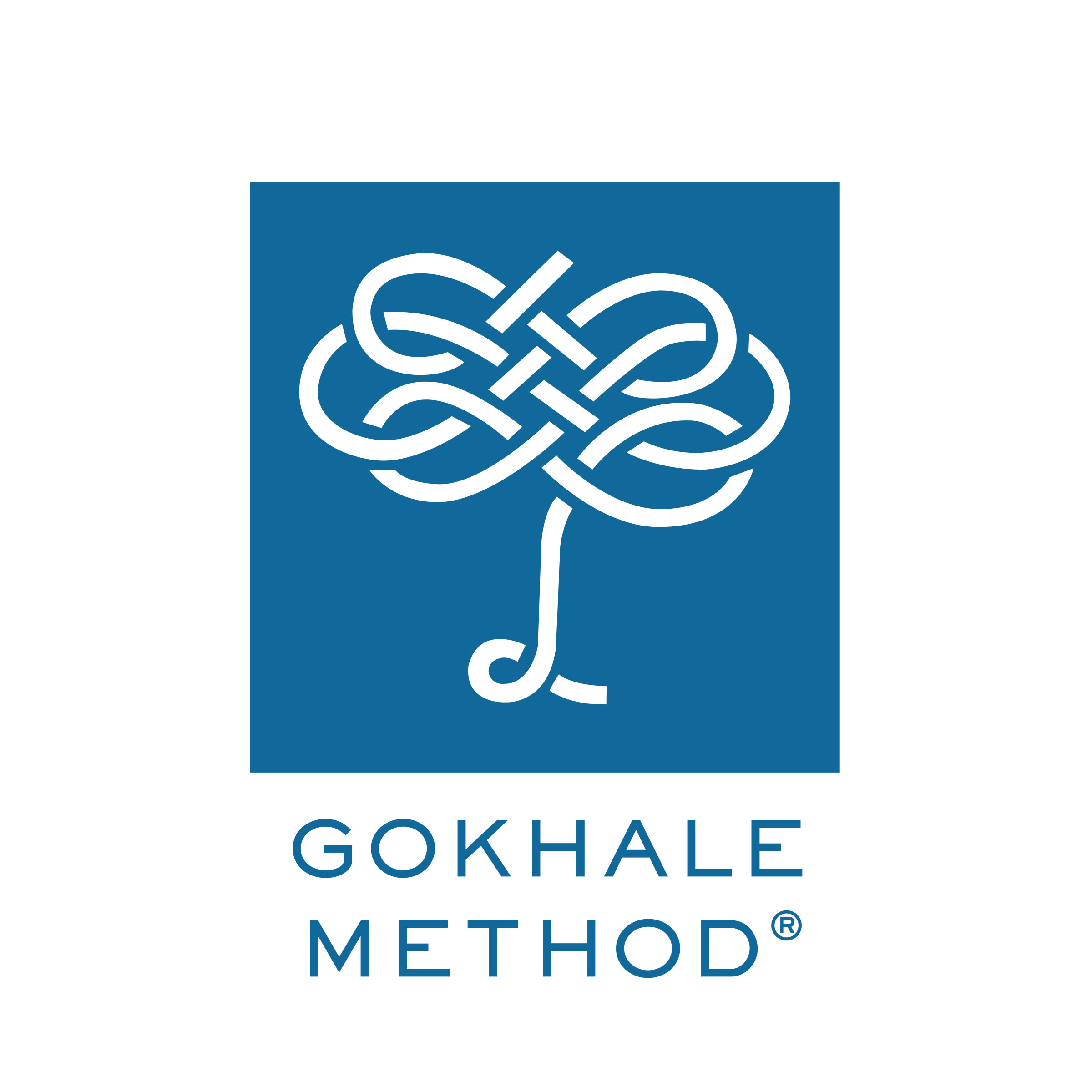 GM Logo - Square - BLUE Horizontal.png