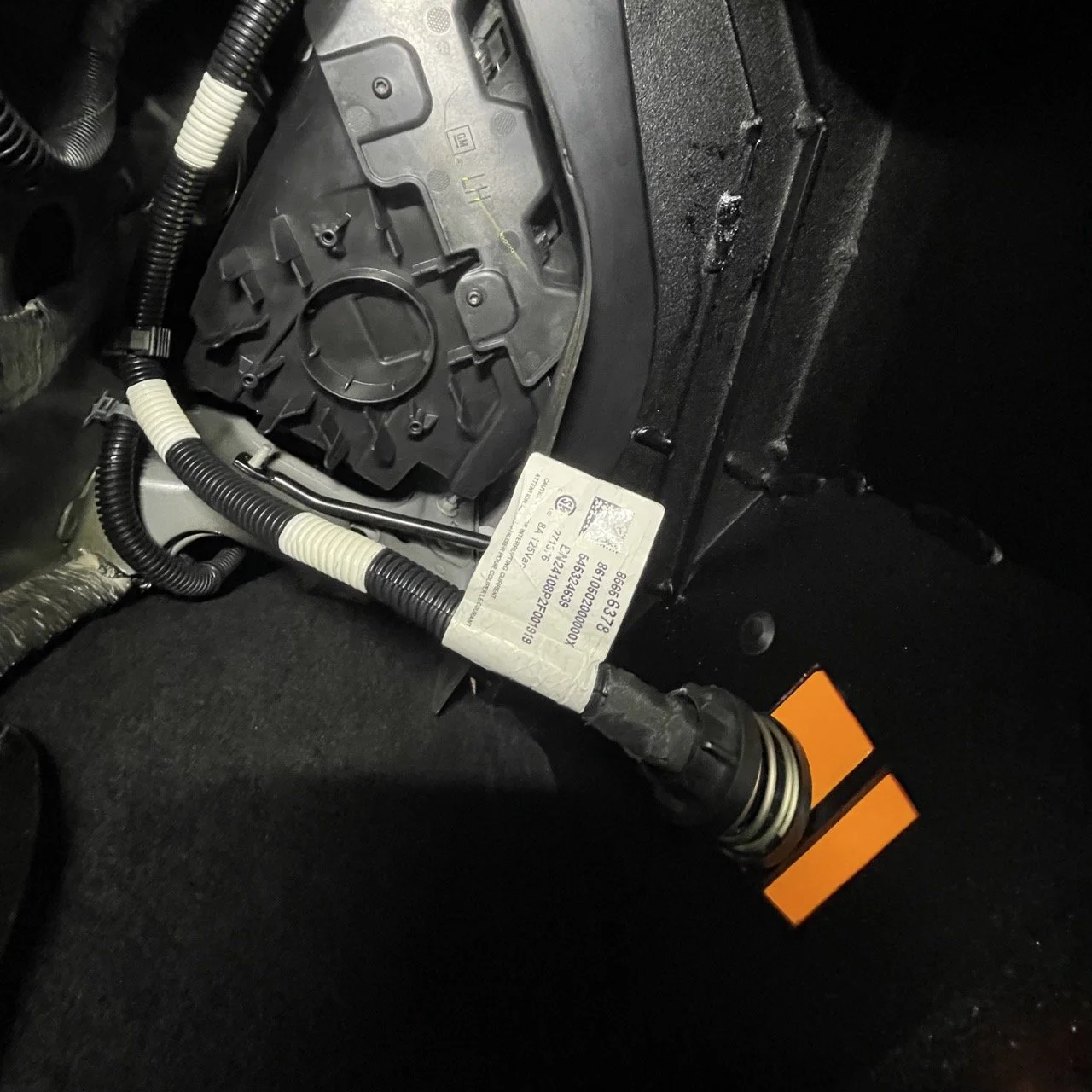 IMG_2655 2 Large.jpeg