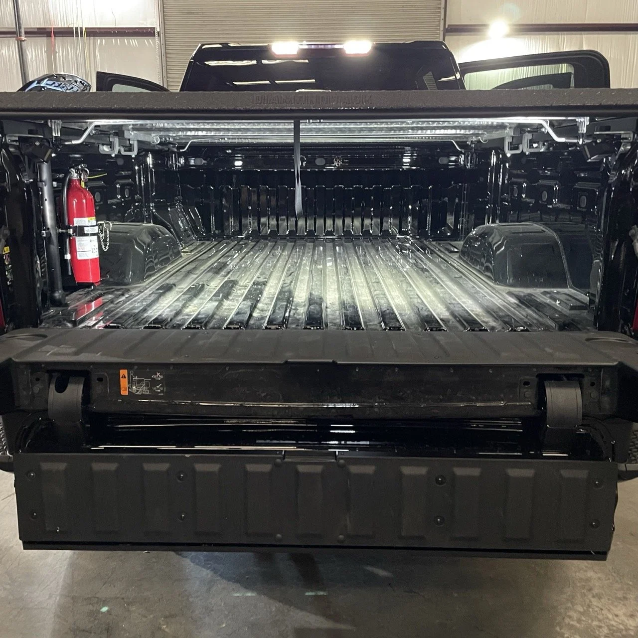 IMG_2681 2 Large.jpeg