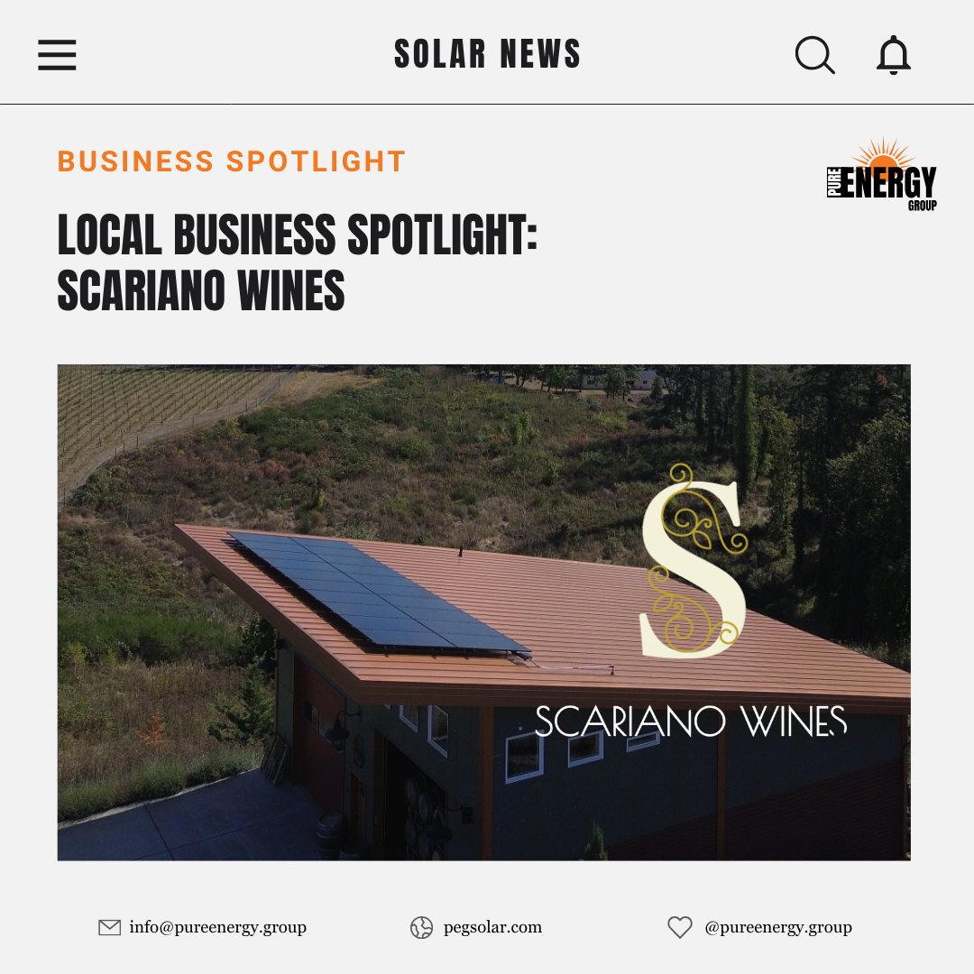 Local Business Spotlight: Scariano Wines