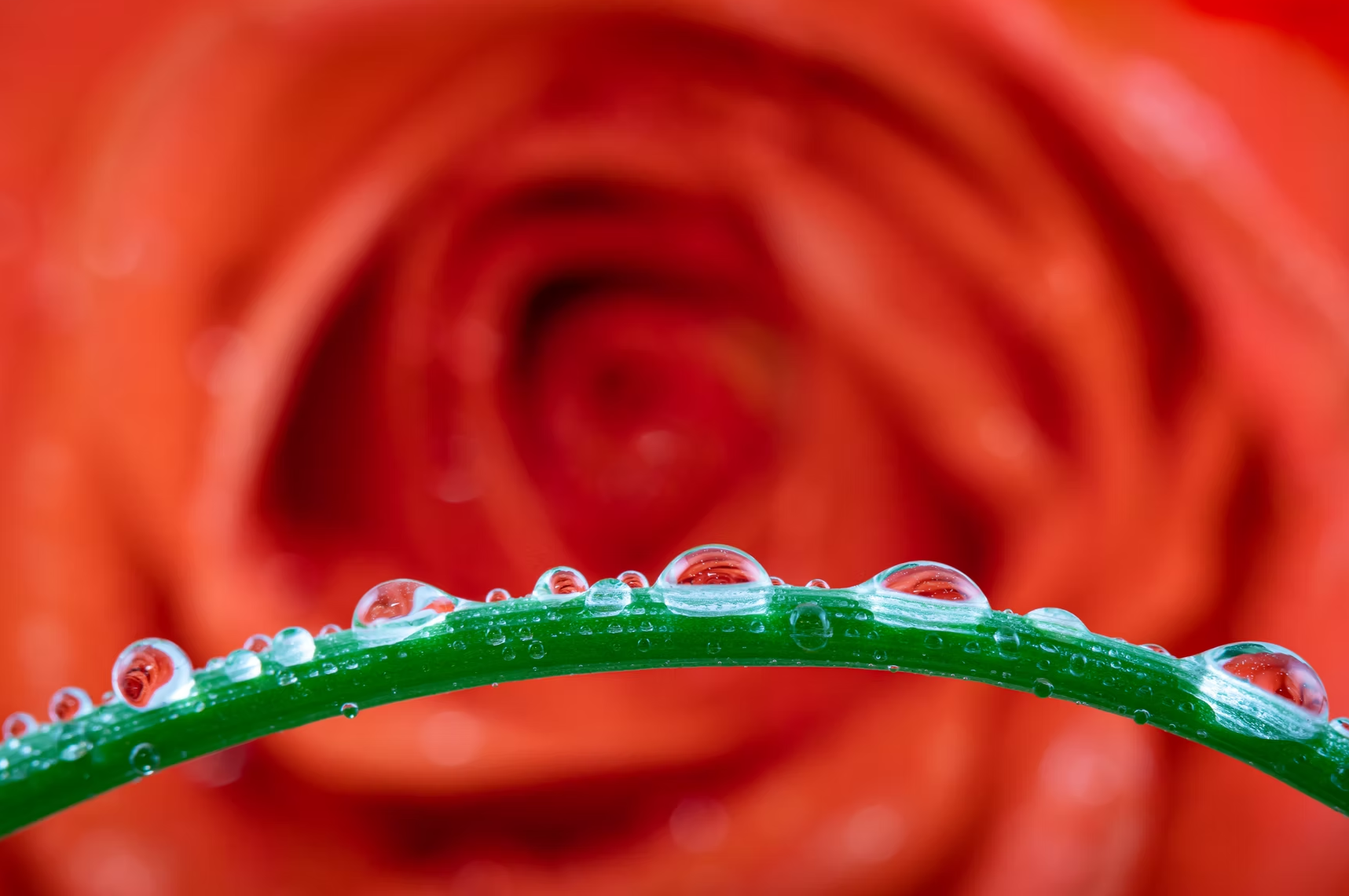 Want to know the secret to stronger client connections?