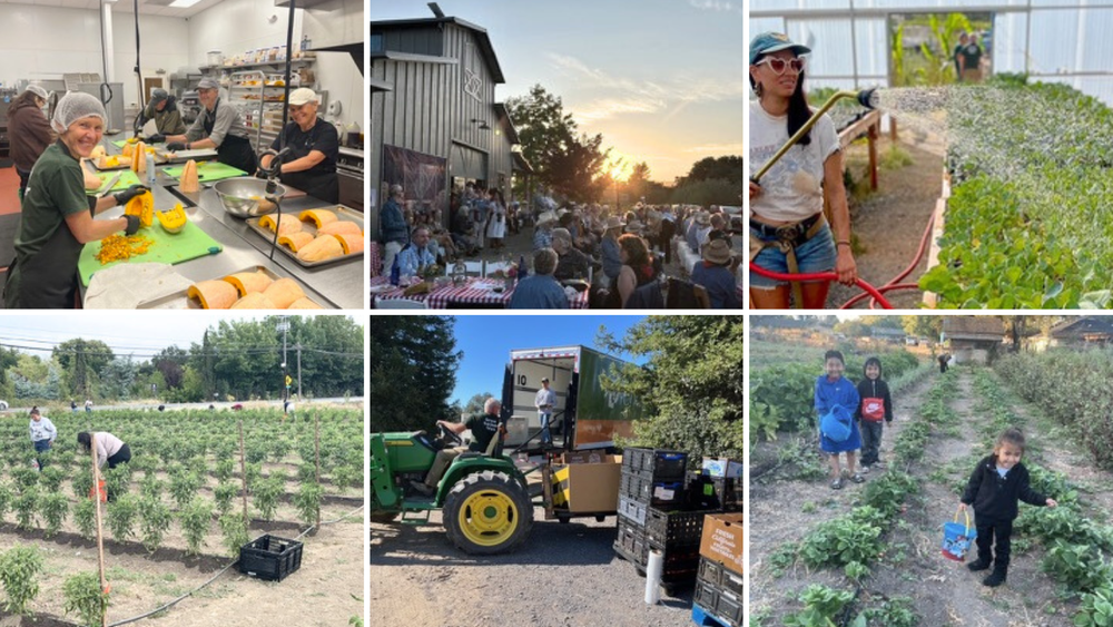 2025 Grantee Spotlight: Farm to Fight Hunger — Healdsburg Forever
