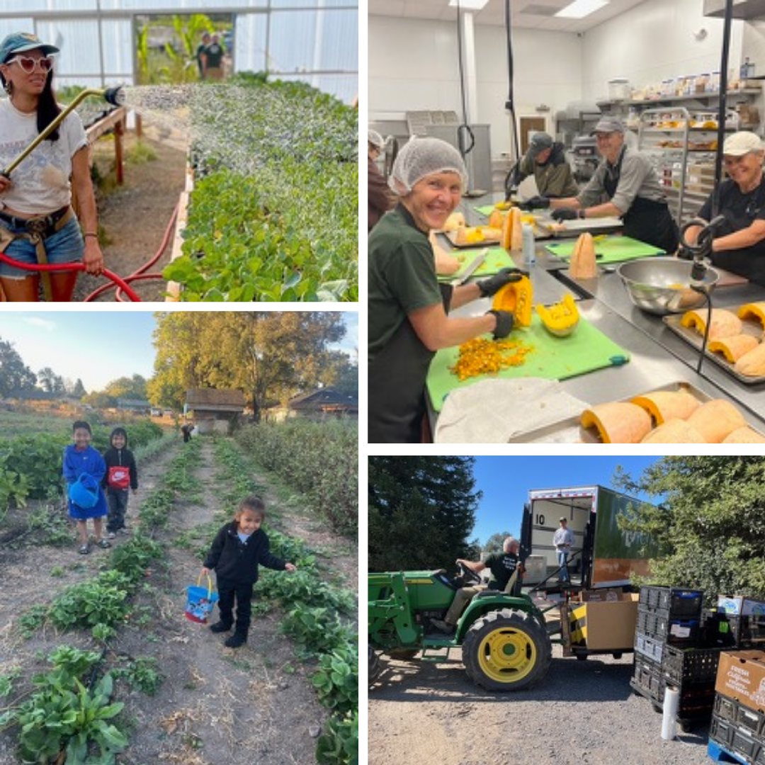 2025 Grantee Spotlight: Farm to Fight Hunger