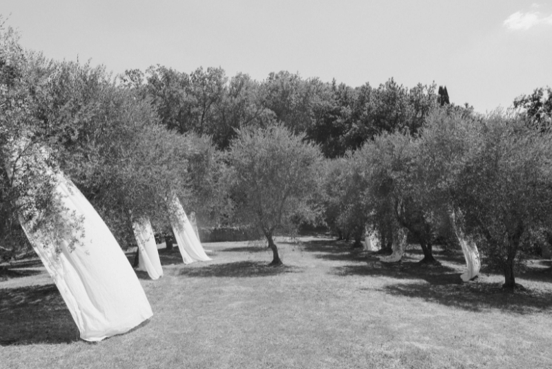 Villa Lena Tuscany Italy Wedding Planner - Emma Jane Weddings - Joshua Woodland Photography (25).png
