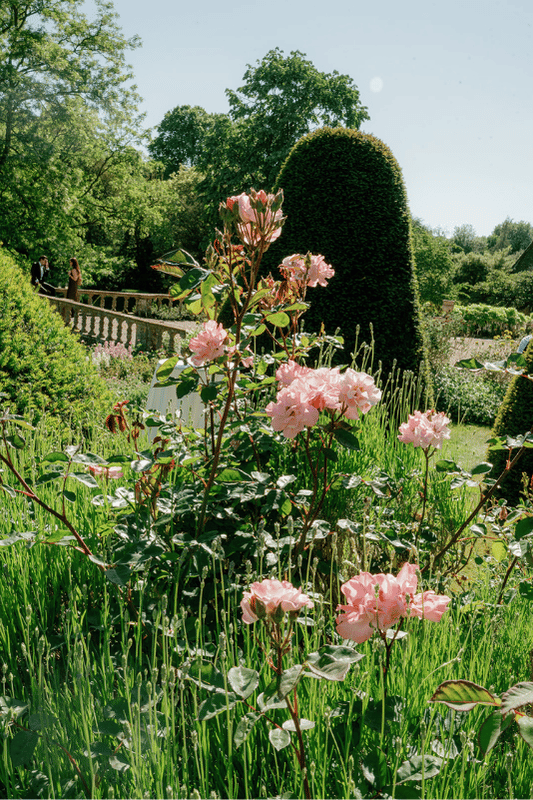 Cornwell Manor Wedding Planner - Emma Jane Weddings - Jessica Lily Photography (35).png