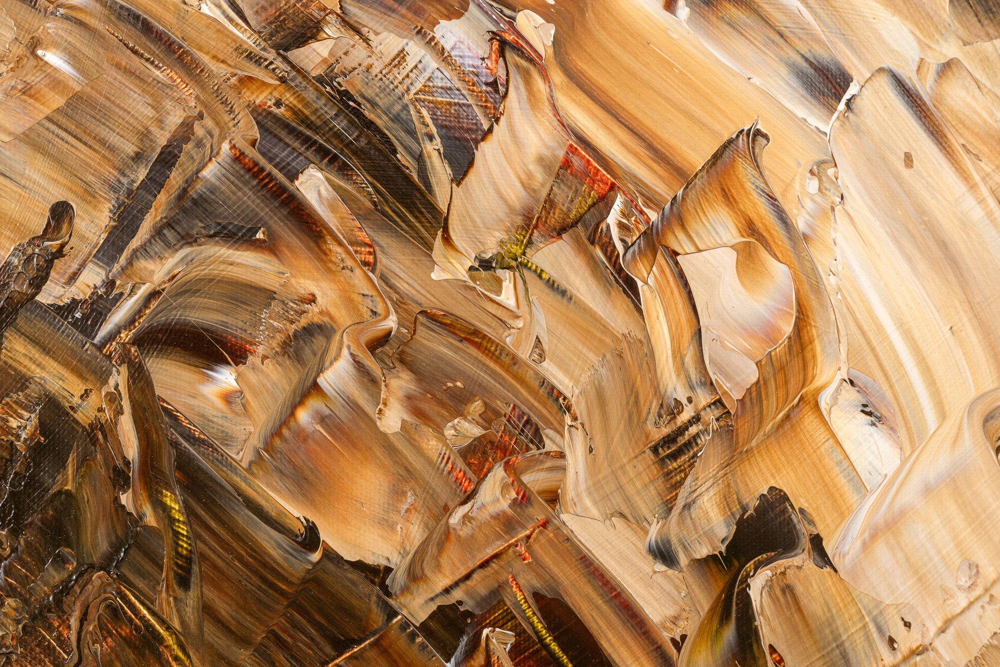 Razor Clam.jpg