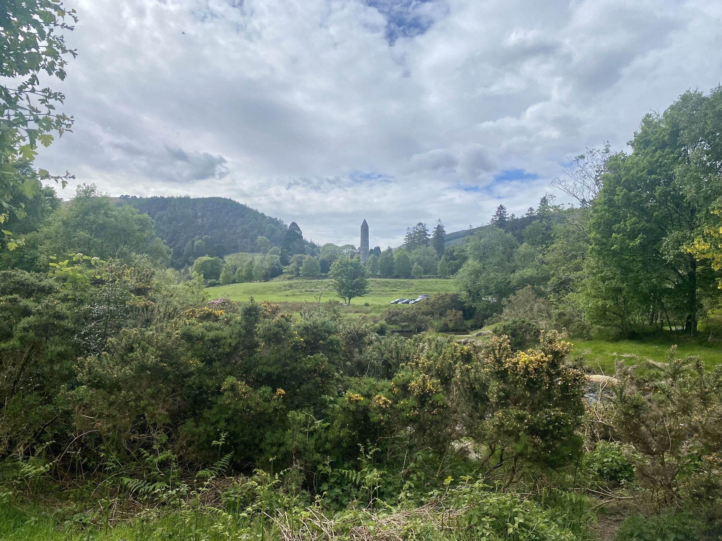 IMG_9549.jpeg