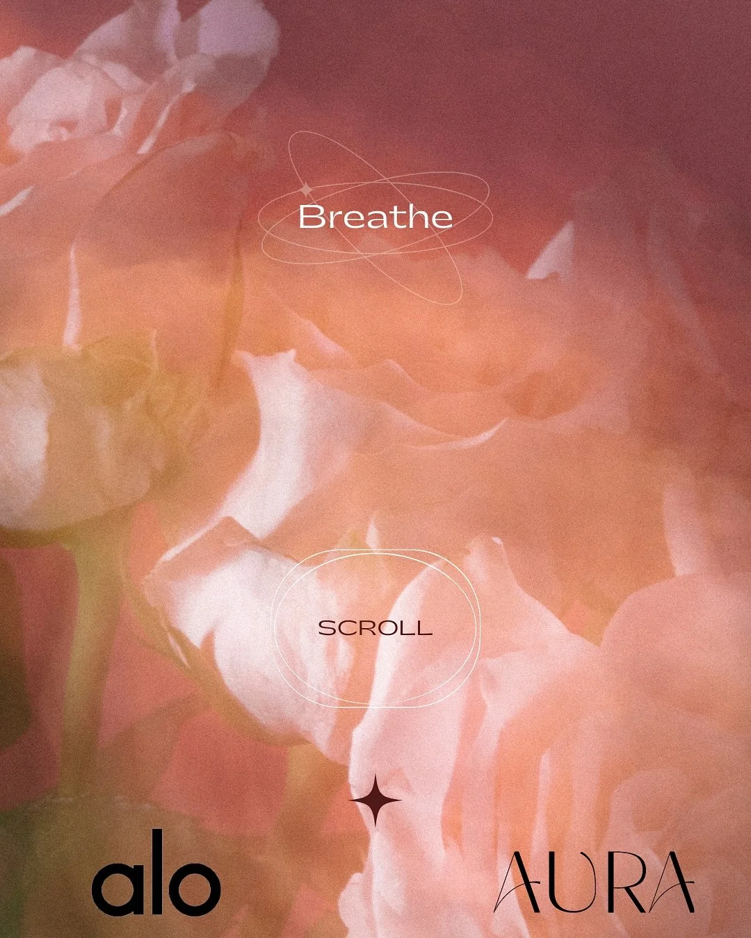 Join us Sunday, December 14, as @alo takes over AURA for an intimate, community-open day of movement and connection. The experience includes a studio immersed in ALO, special gifts, intention cards, exclusive AURA promotions, hot tea, and meaningful 