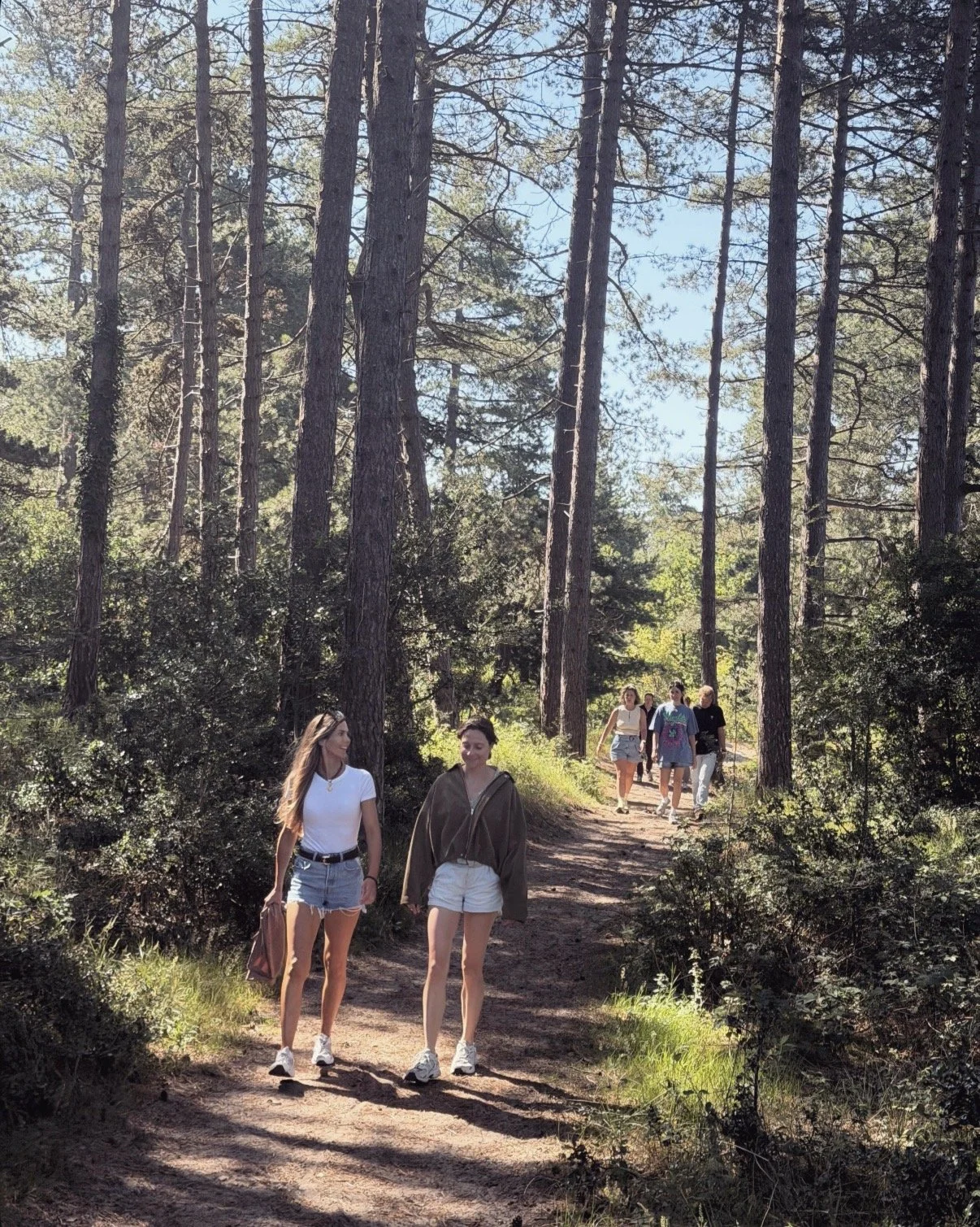Vijf jongeren wandelen op een bospad omgeven door hoge dennenbomen en groene struiken, onder een heldere blauwe hemel.