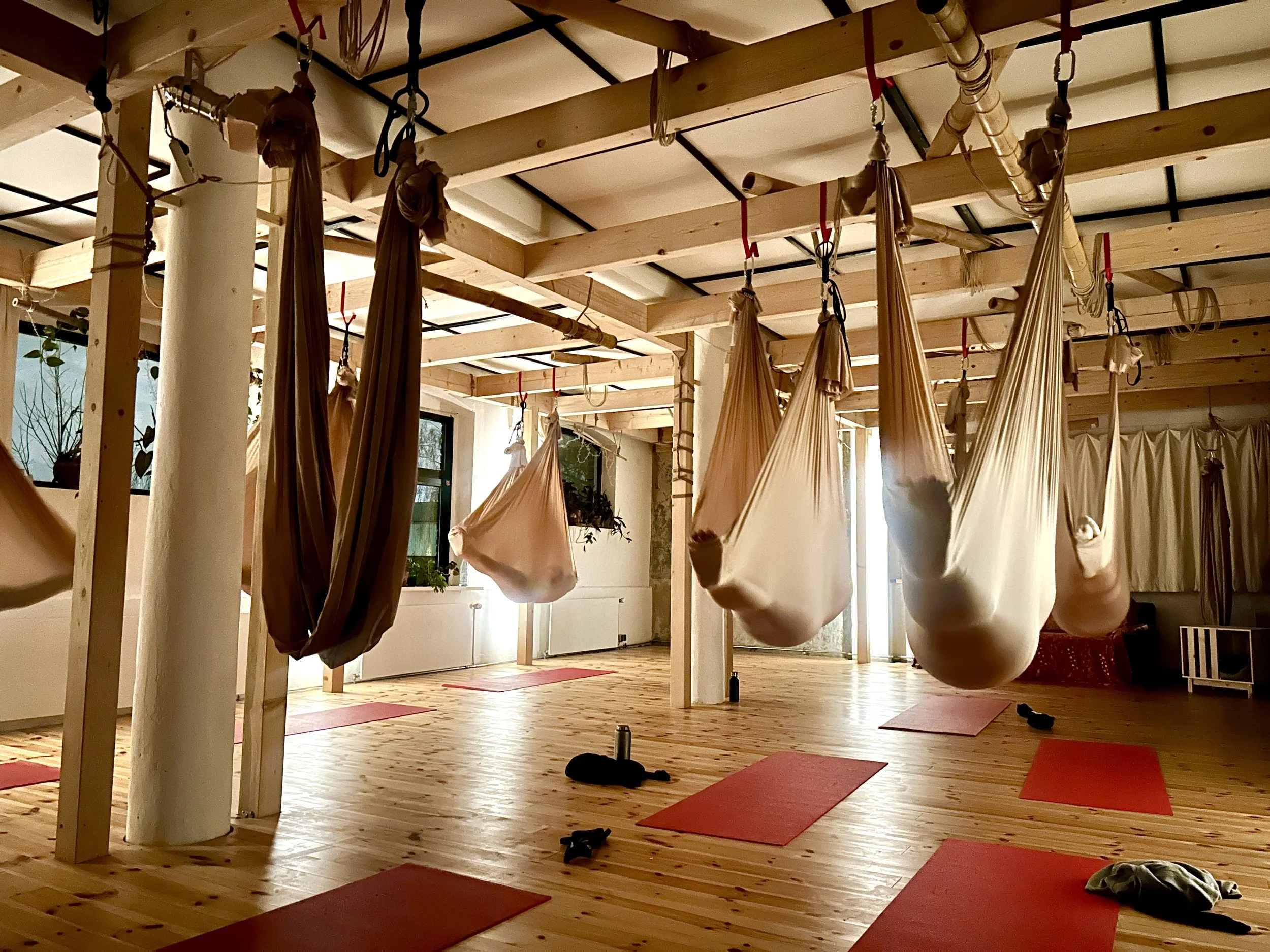 Aerial yoga studio with red yoga mats spread on a wooden floor, and several beige yoga hammocks hanging from the ceiling. The room is bright with natural light coming through large windows and decorated with plants.