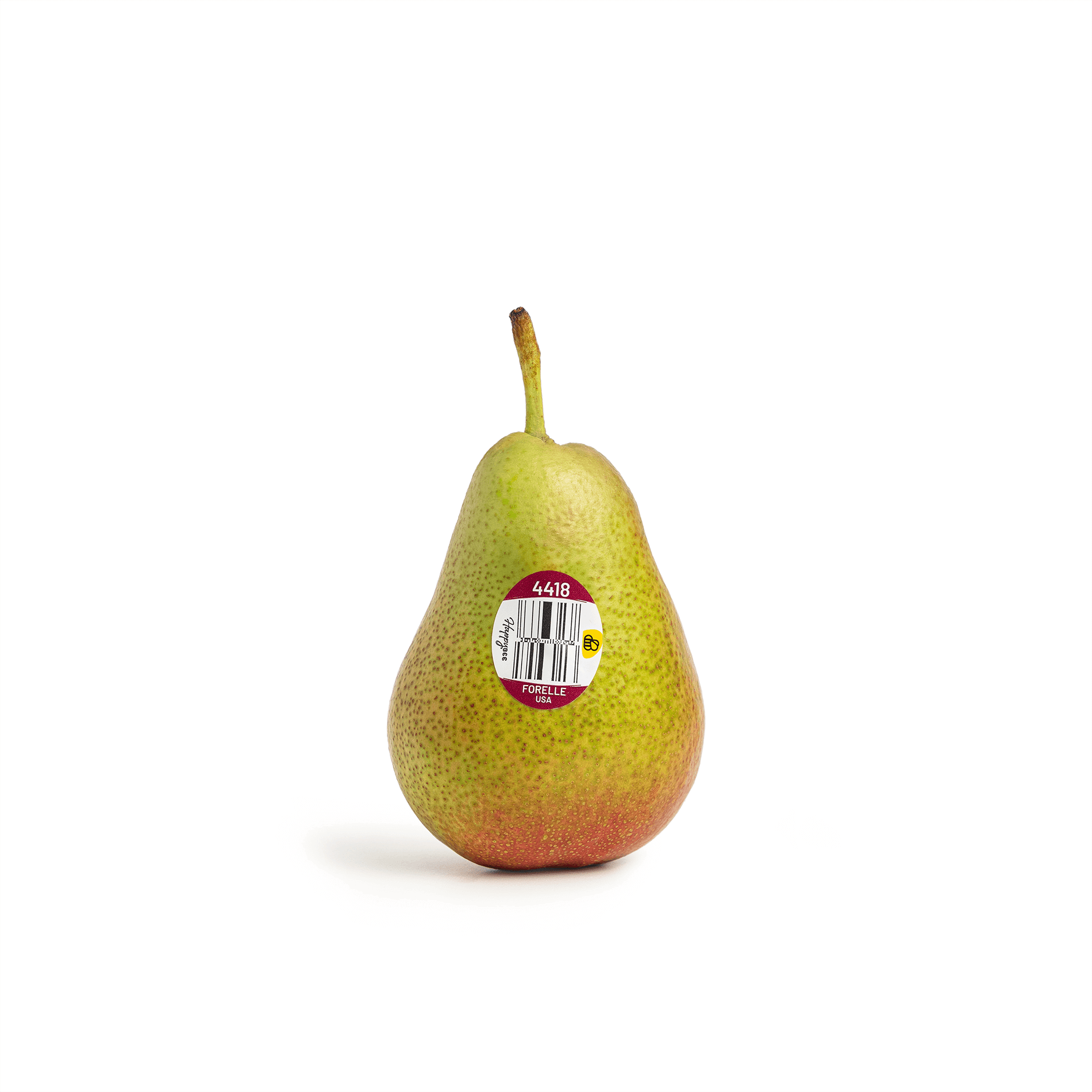Happy_Bee-Photos-Pear-Forelle-Whole.png